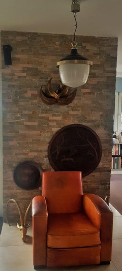 Mid-Century Pendant Holophan by Sergio Mazza for Artemide, Italy 1950