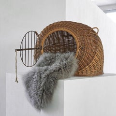 Mid Century Pet House / Carrier in Rattan and Metal, 1950s
