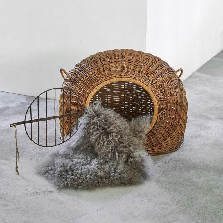 Mid-Century moderno Casetta / trasportino per animali domestici di metà secolo in rattan e metallo, anni '50 in vendita