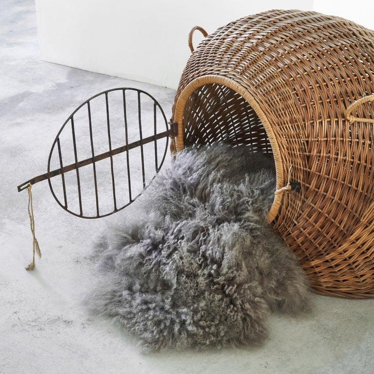 Fatto a mano Casetta / trasportino per animali domestici di metà secolo in rattan e metallo, anni '50 in vendita