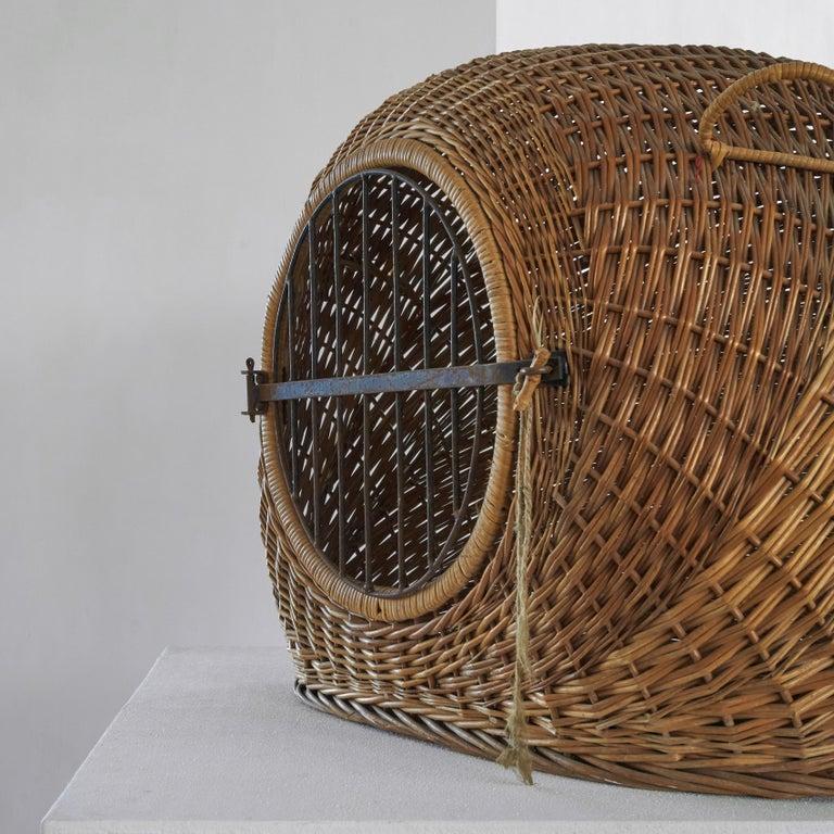 Casetta / trasportino per animali domestici di metà secolo in rattan e metallo, anni '50 In condizioni buone in vendita a Meer, VAN