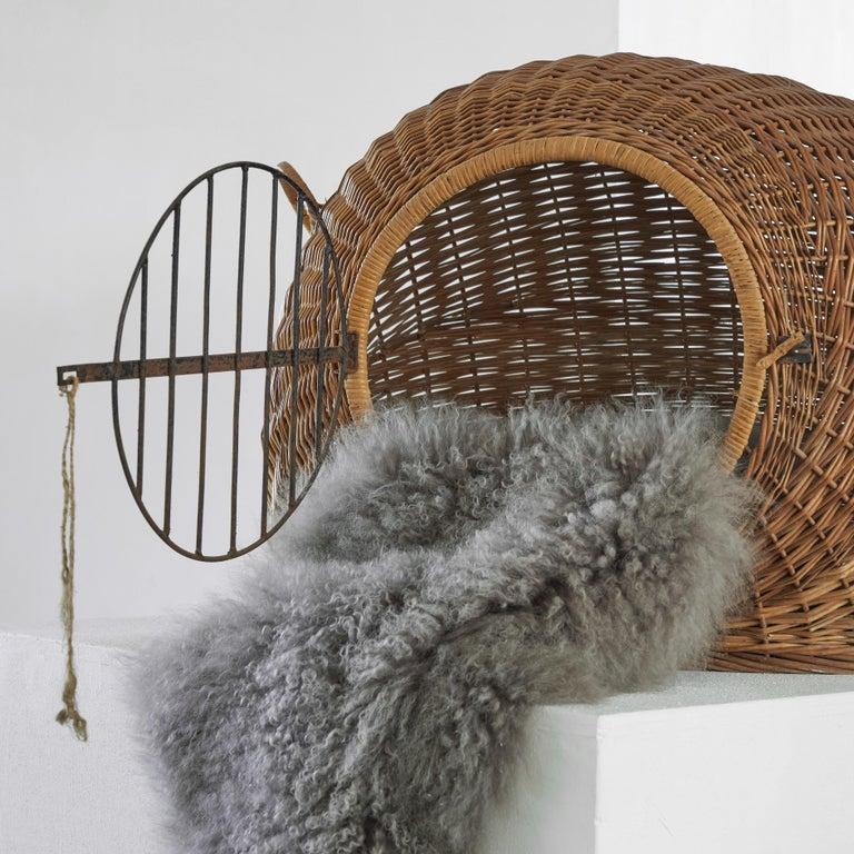XX secolo Casetta / trasportino per animali domestici di metà secolo in rattan e metallo, anni '50 in vendita