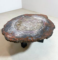 Table basse en bois pétrifié du milieu du siècle, Belgique, 1970