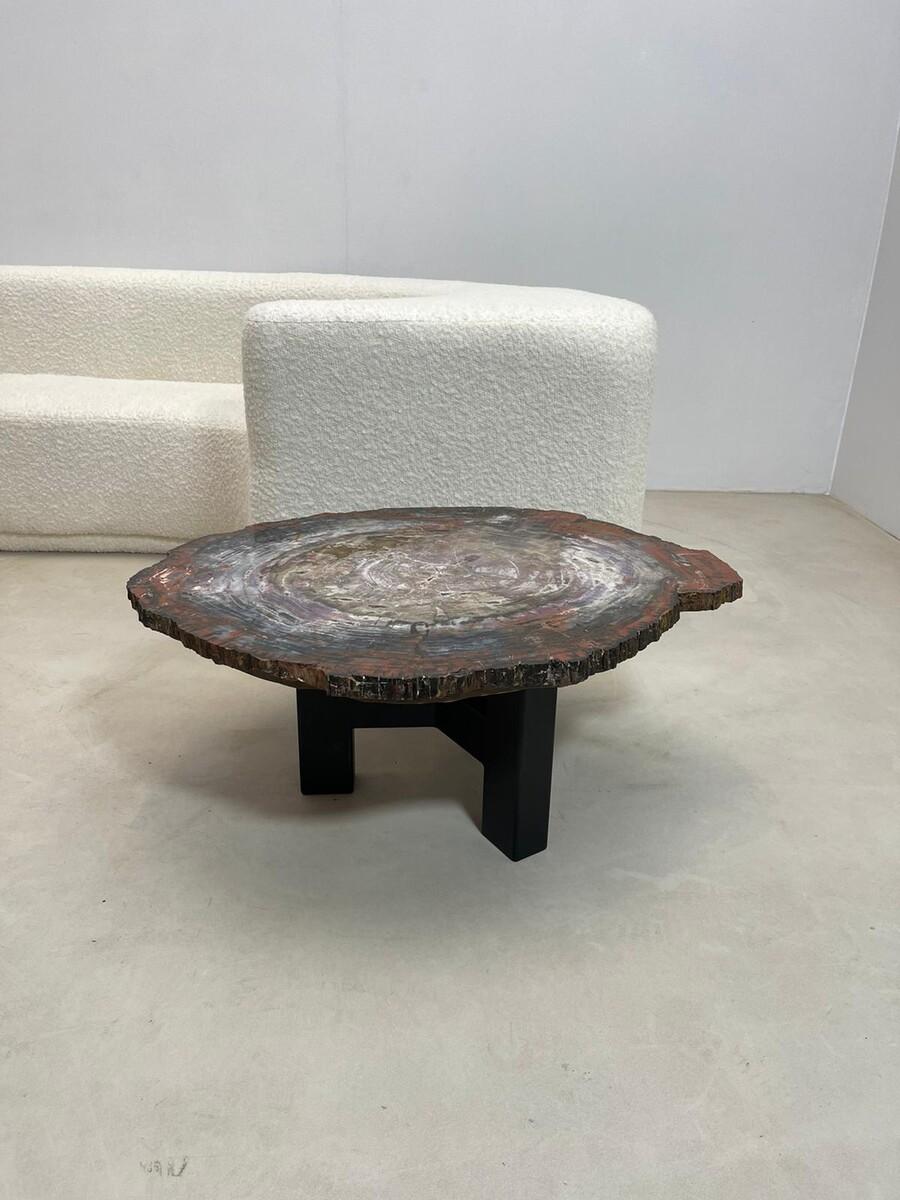 Mid-Century, Petrifiedwood Coffee Table, Belgium, 1970s In Good Condition For Sale In Brussels, BE