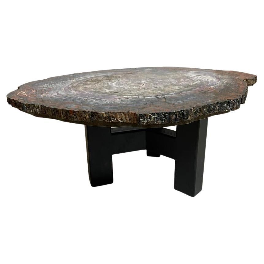 Table basse en bois pétrifié du milieu du siècle, Belgique, 1970