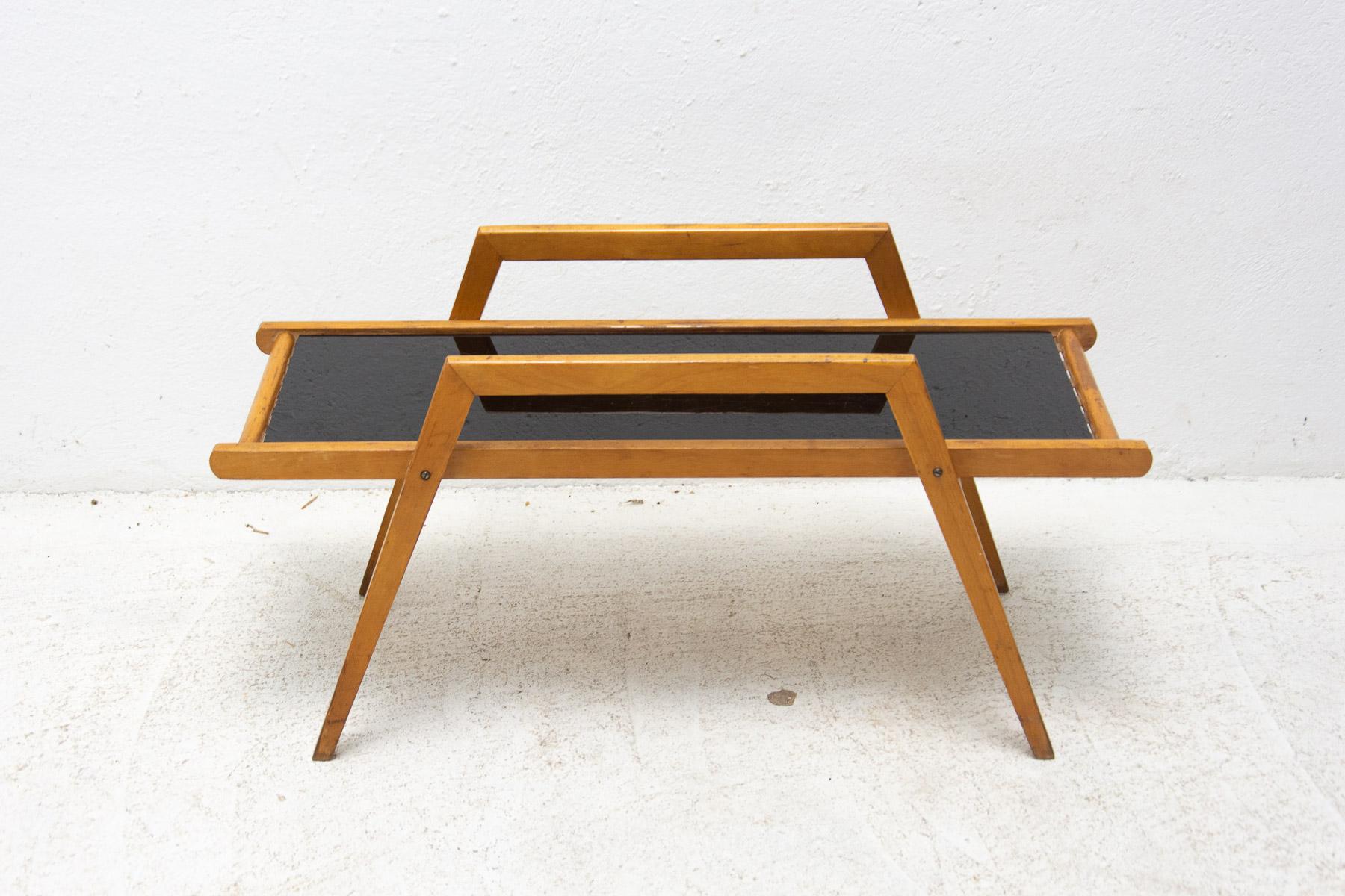 Mid-Century Modern Mid-Century Plant Stand or Side Table, Czechoslovakia For Sale