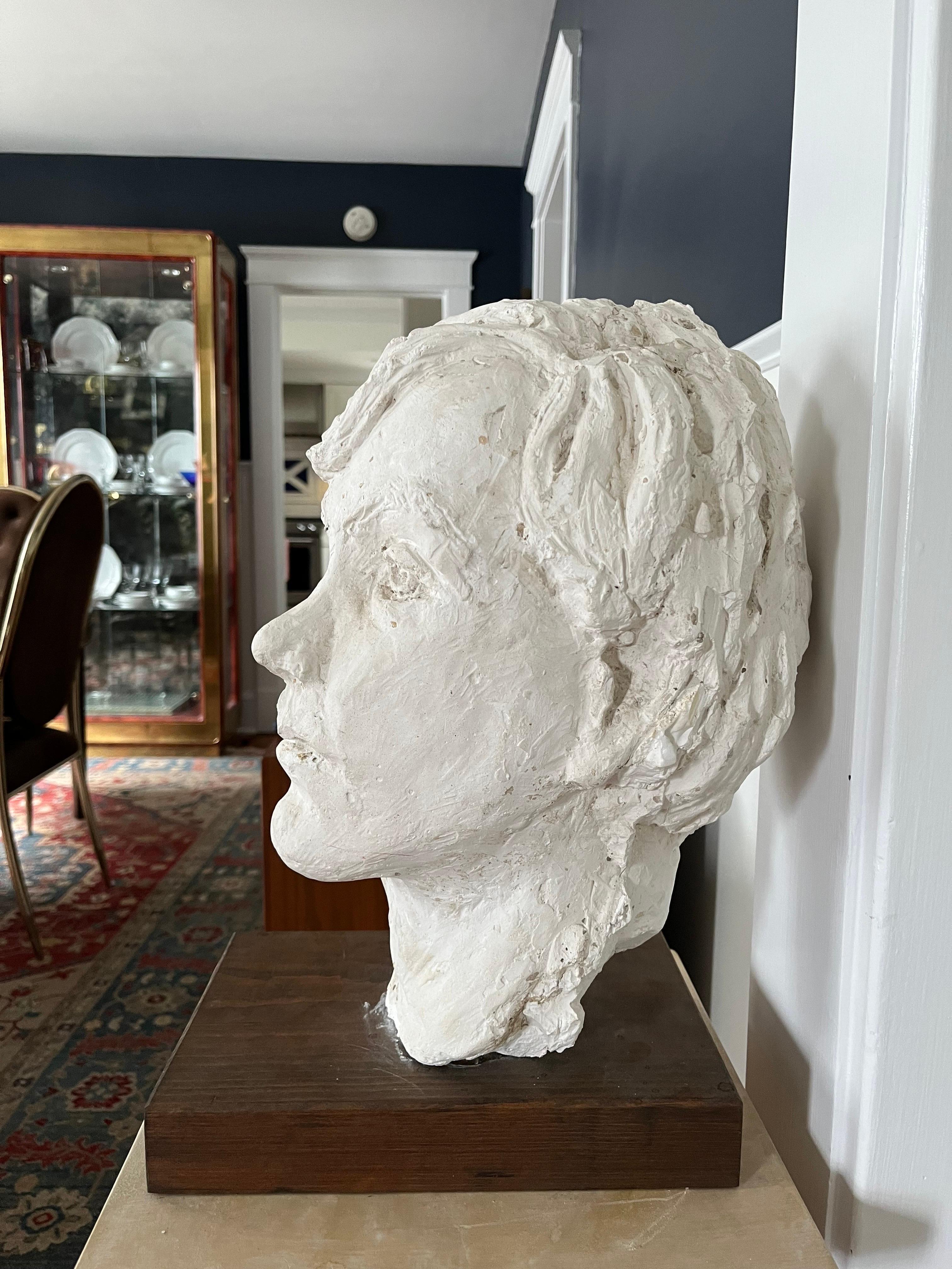 Mid-Century Modern Mid Century Plaster Bust  For Sale