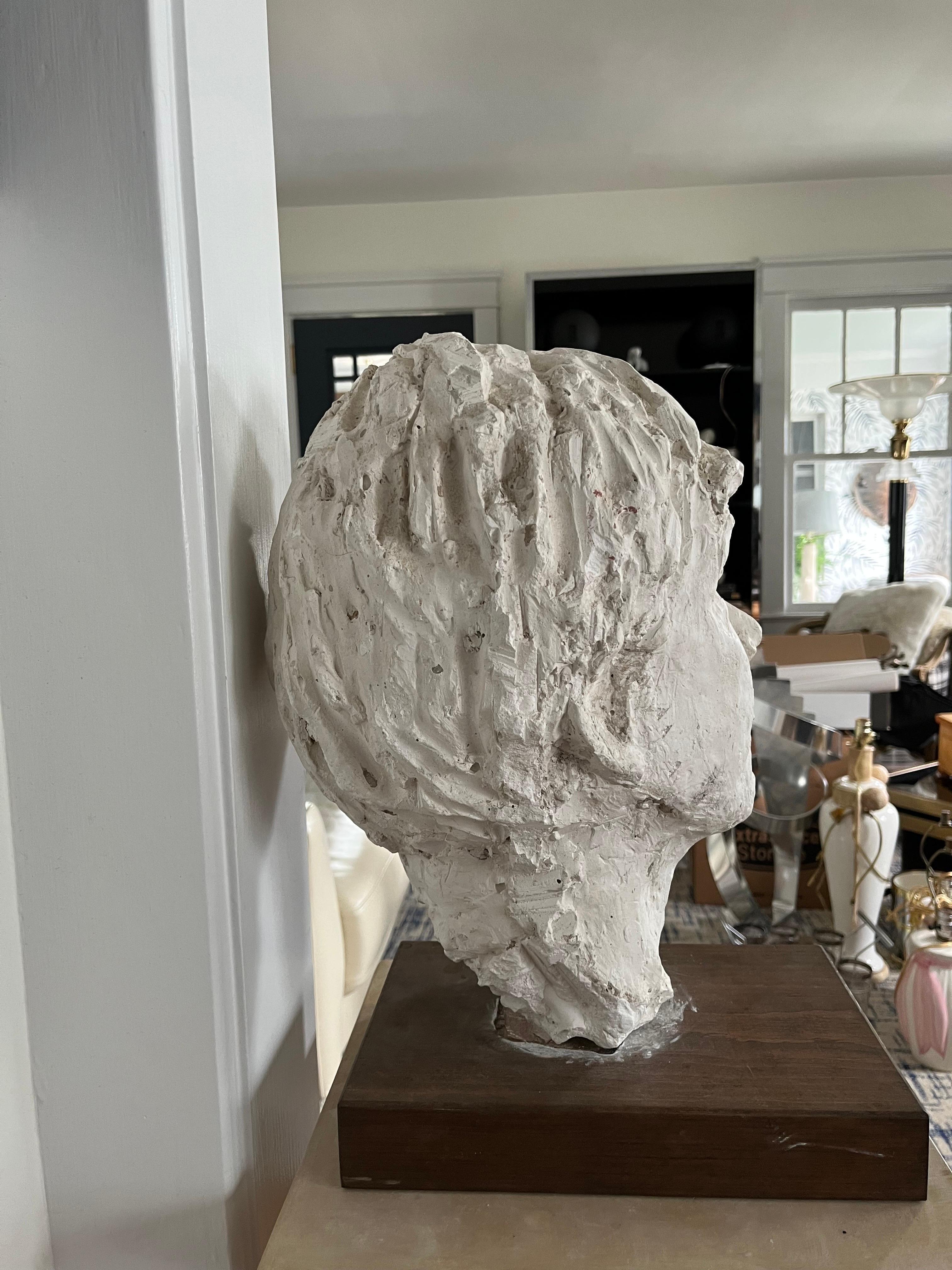 American Mid Century Plaster Bust  For Sale