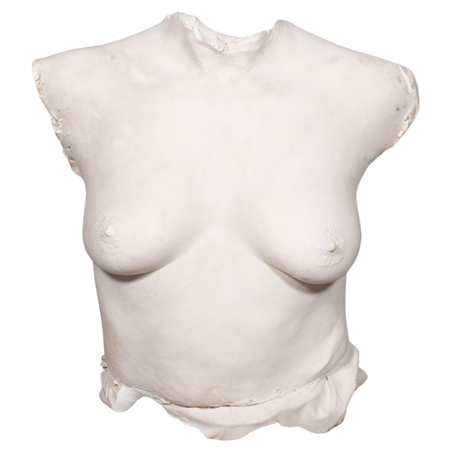 Christopher Tucker Plaster Cast Wall Sculpture of a Woman's Torso C.1950 For Sale