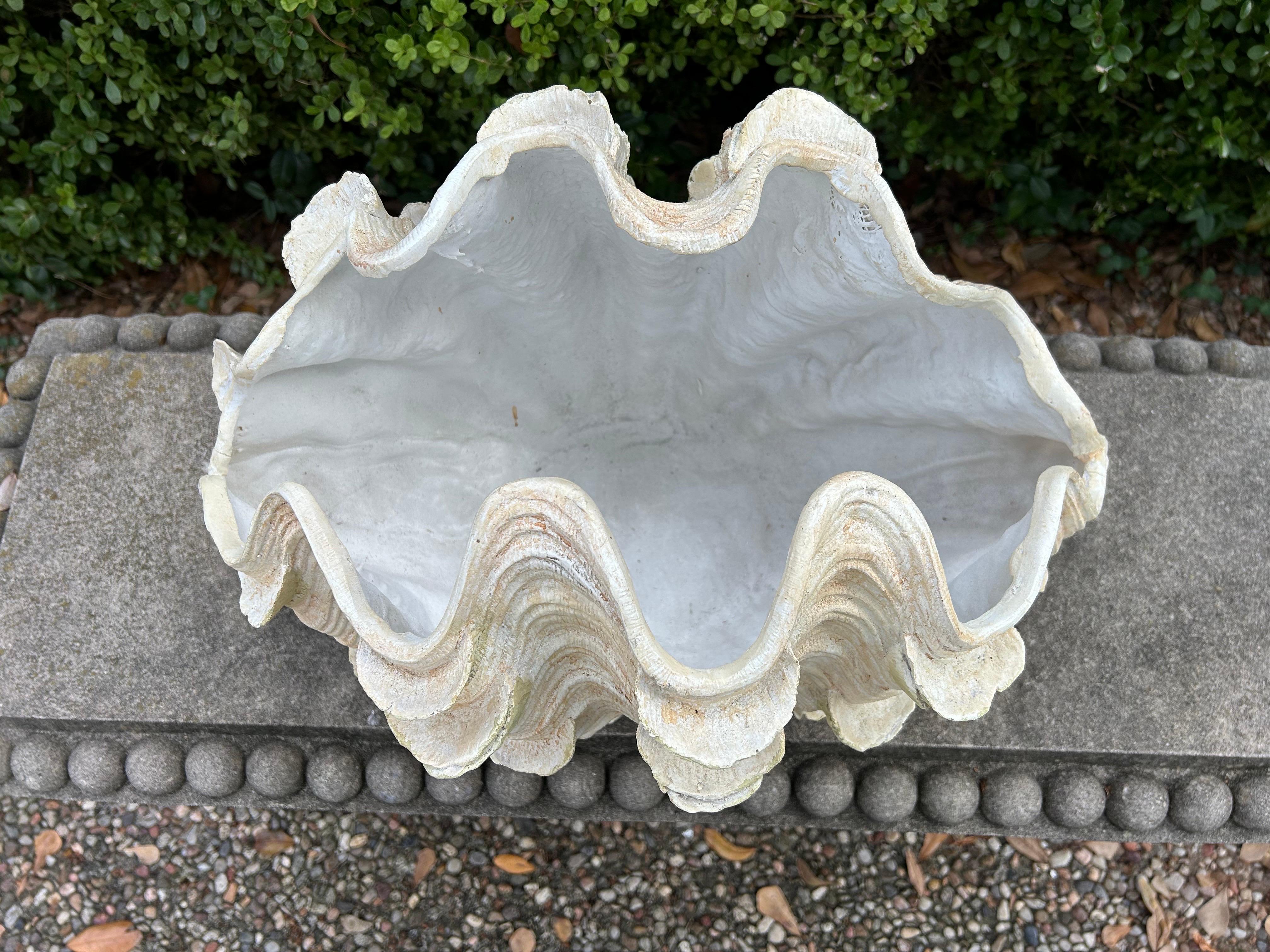 Hollywood Regency Conchiglia in gesso di metà secolo in vendita