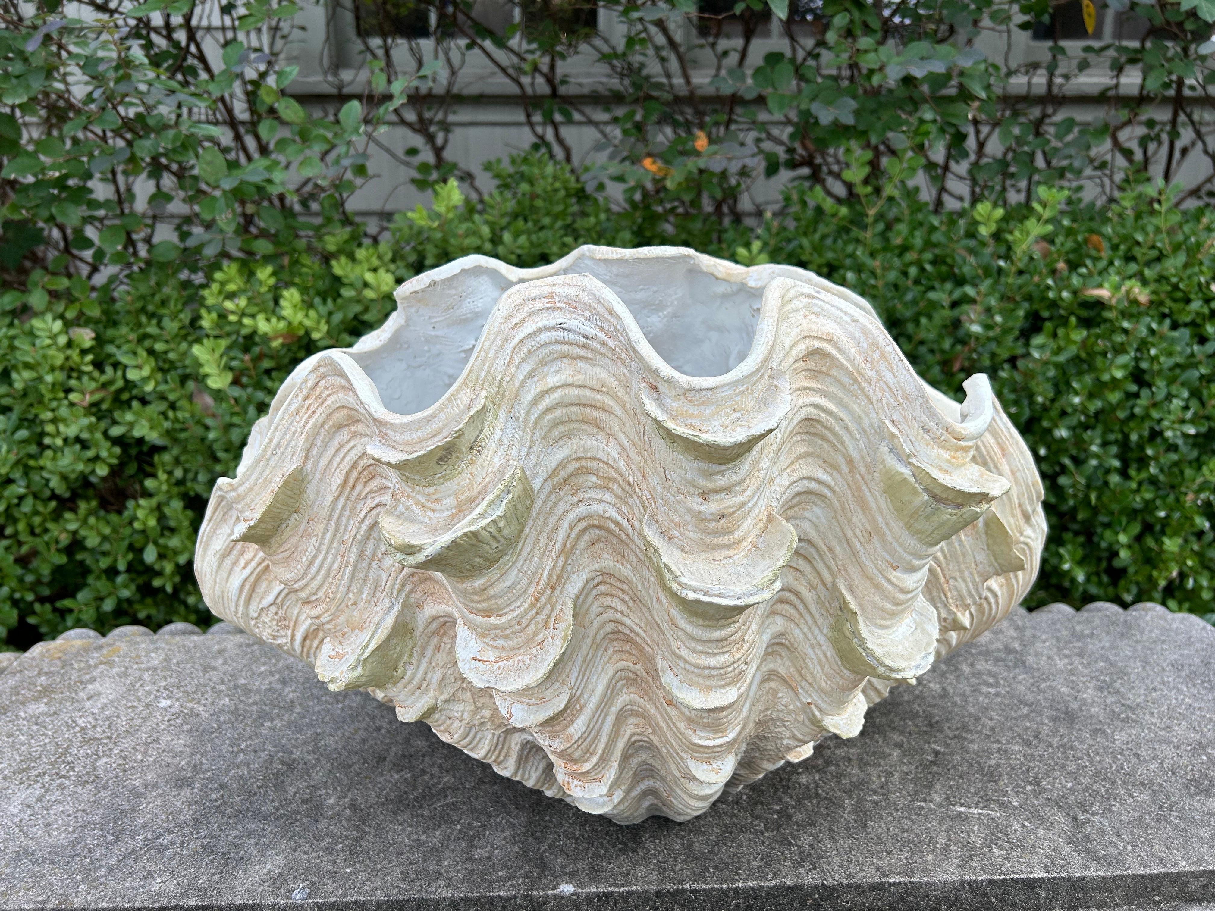 Sconosciuto Conchiglia in gesso di metà secolo in vendita