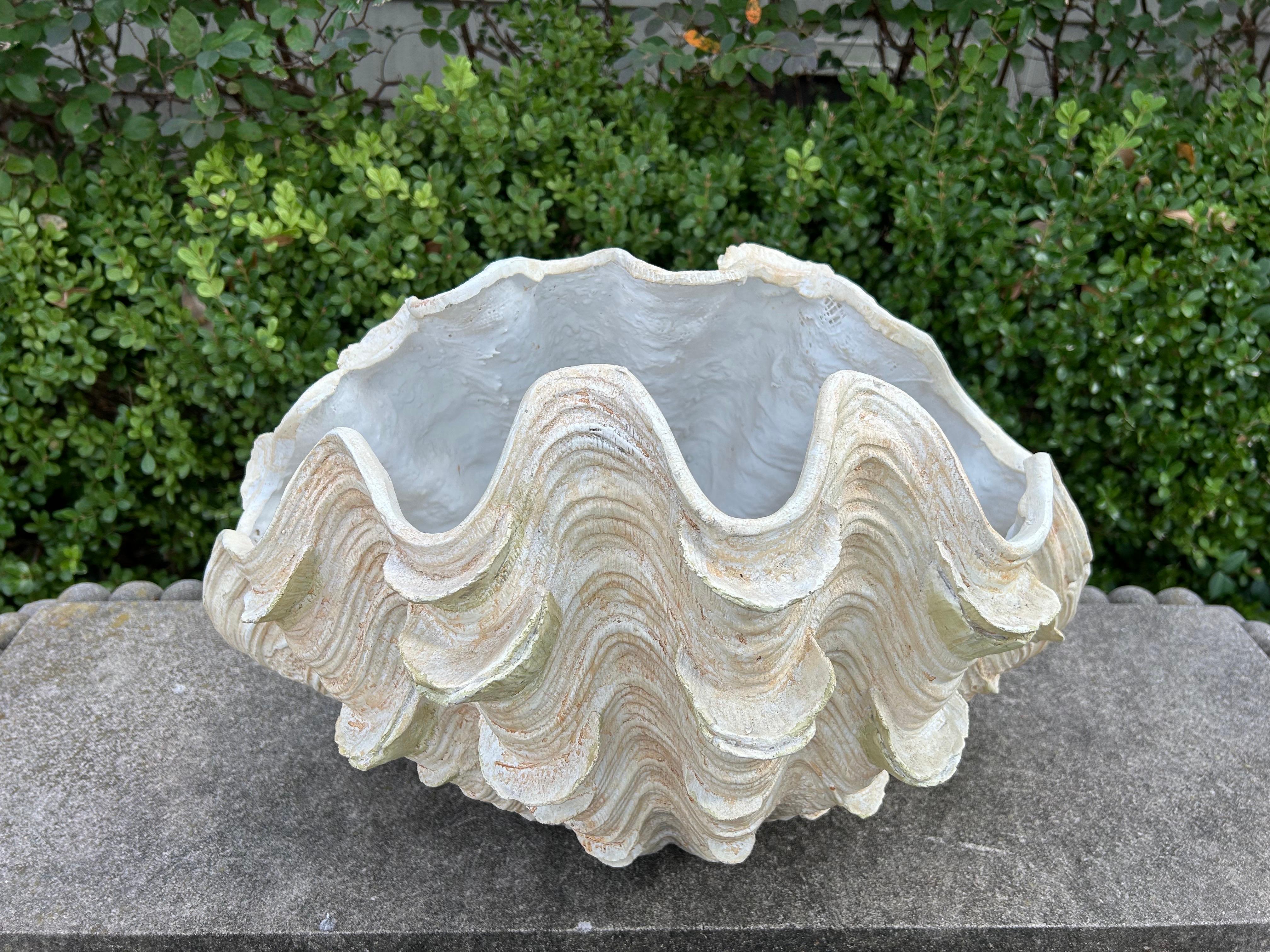 XX secolo Conchiglia in gesso di metà secolo in vendita