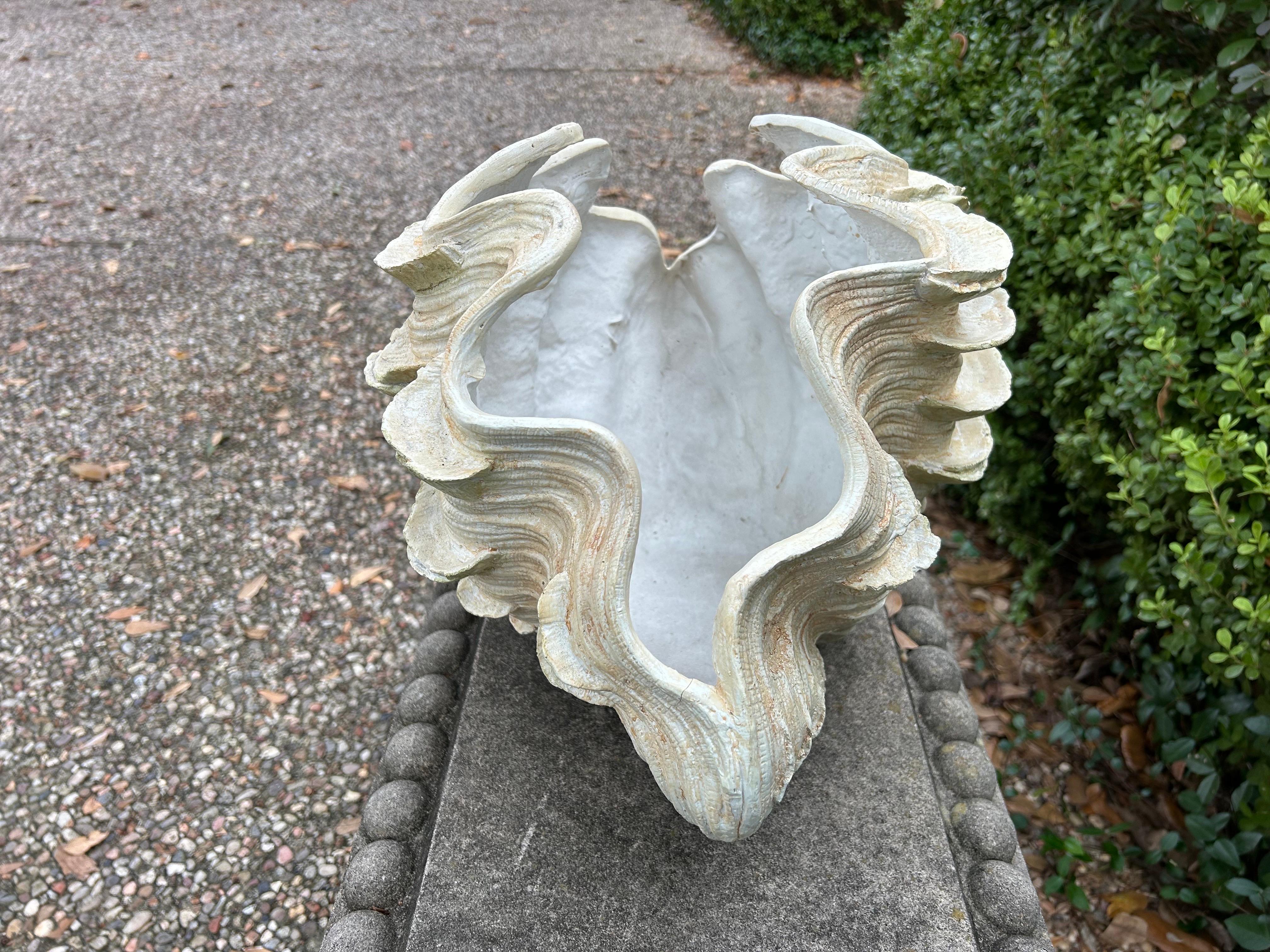 Conchiglia in gesso di metà secolo in vendita 1