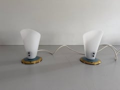 Coppia di lampade da scrivania di metà secolo con testa in plexiglass e base in metallo, anni '60, Germania