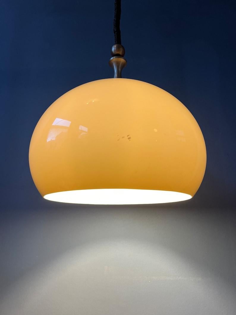 20th Century Mid Century Plexiglass Space Age Mushroom Pendant Lamp by Dijkstra, 1970s For Sale