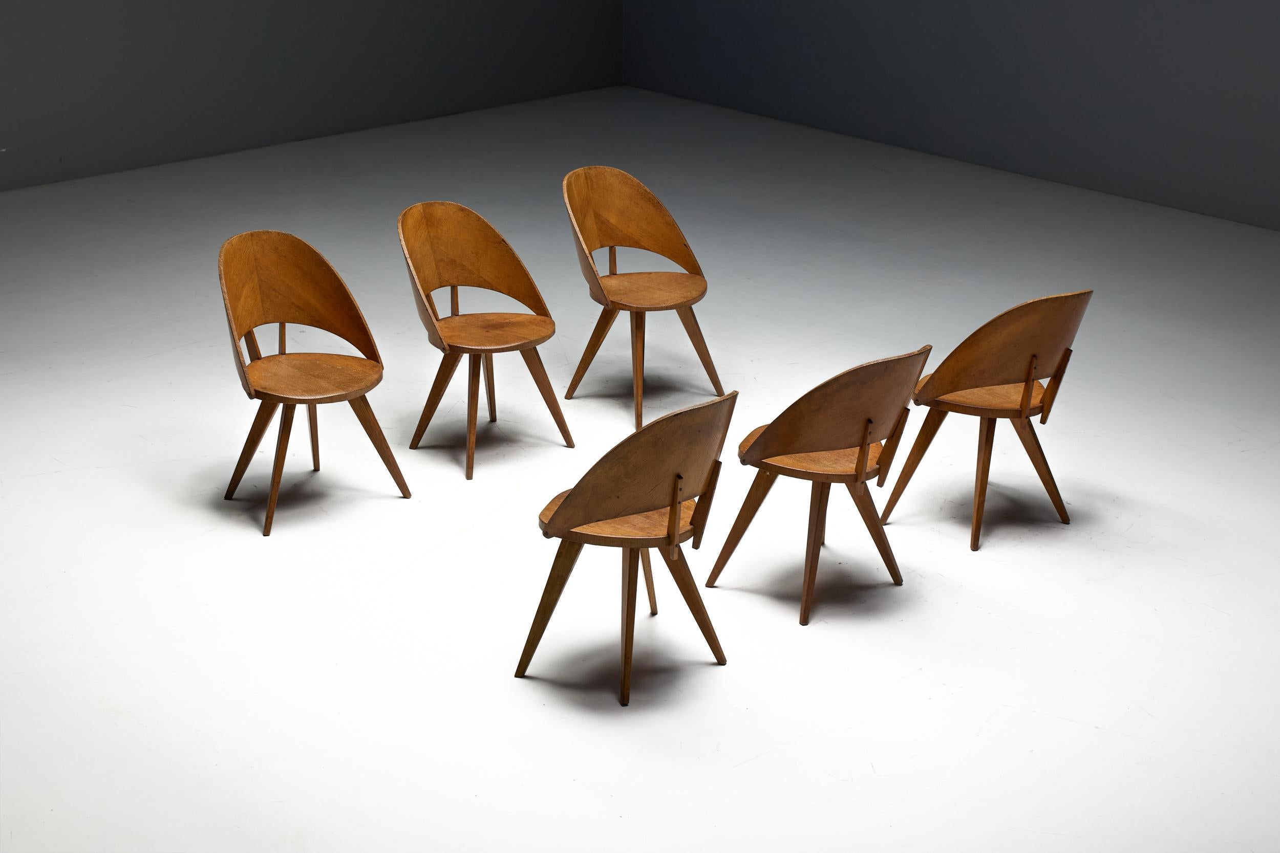 Mid-Century Plywood Dining Chairs, Italy, 1950s en venta 3