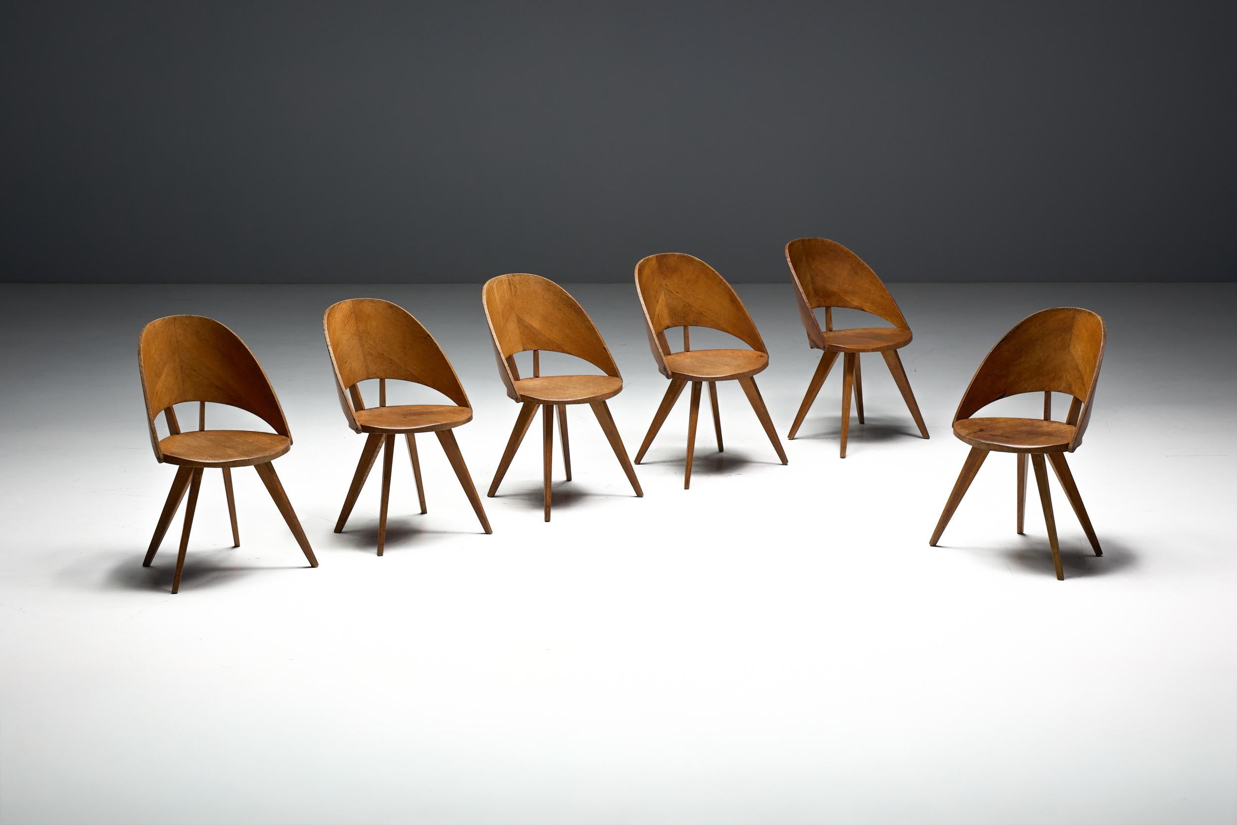 Mid-Century Plywood Dining Chairs, Italy, 1950s en venta 4