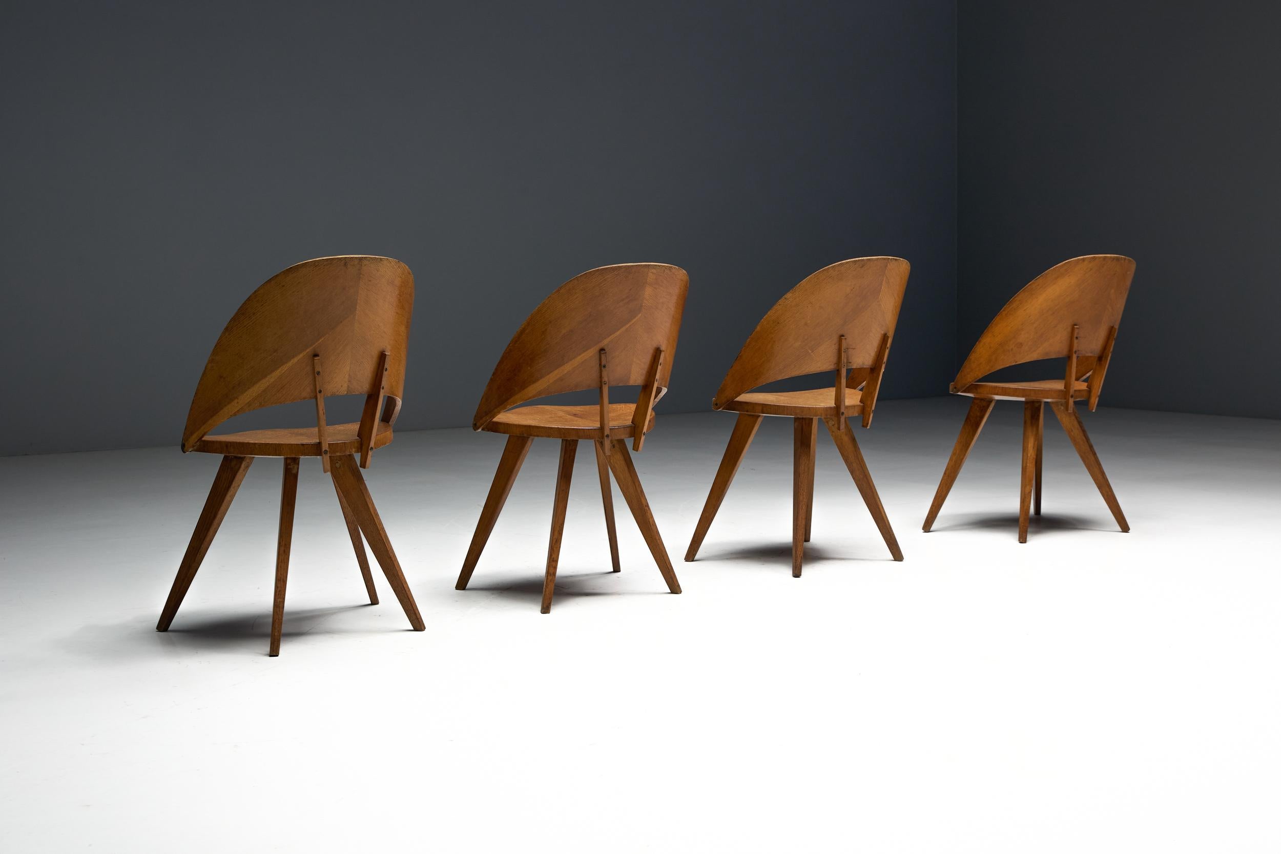 Mid-Century Plywood Dining Chairs, Italy, 1950s en venta 6