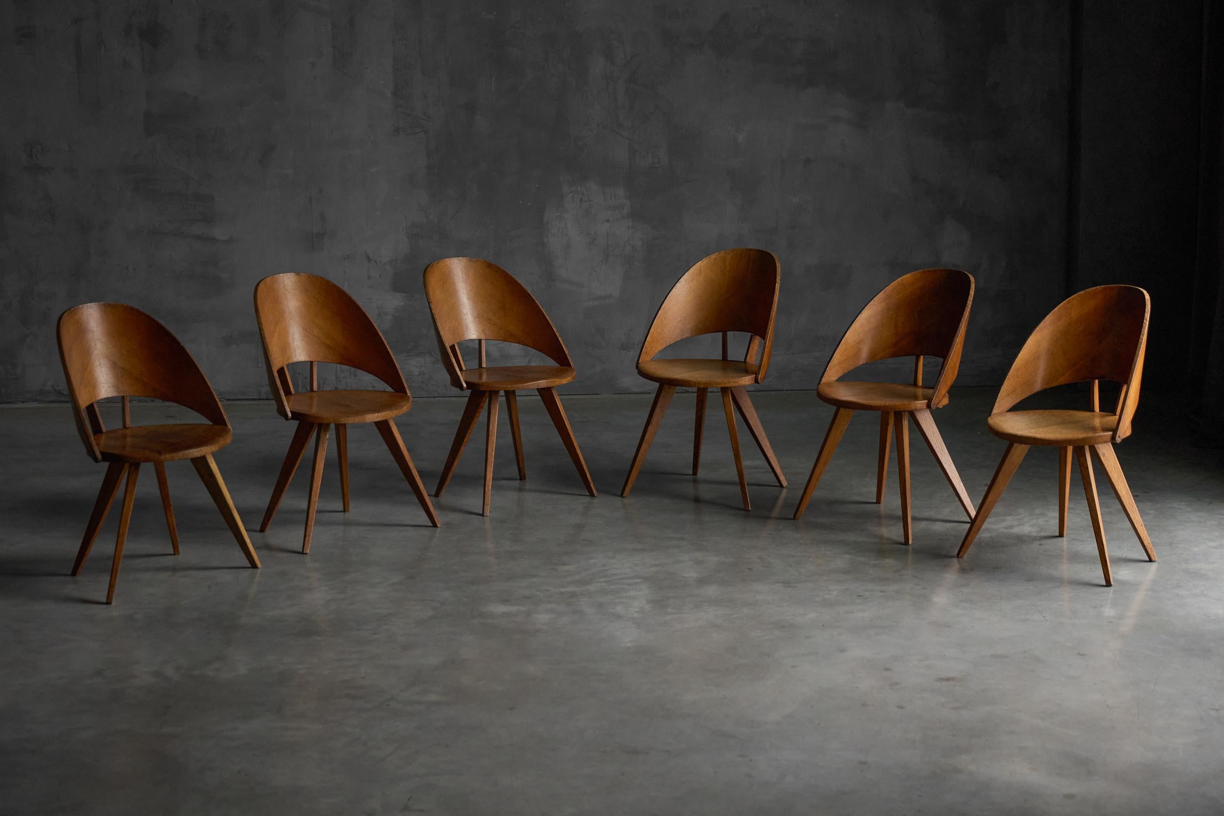 Rare dining chairs, strongly reminiscent of the iconic Medea armchair by Vittorio Nobili for Fratelli Tagliabue. Crafted with solid oak seats and legs, they have developed a beautiful, time-worn patina that enhances their character. The sculptural