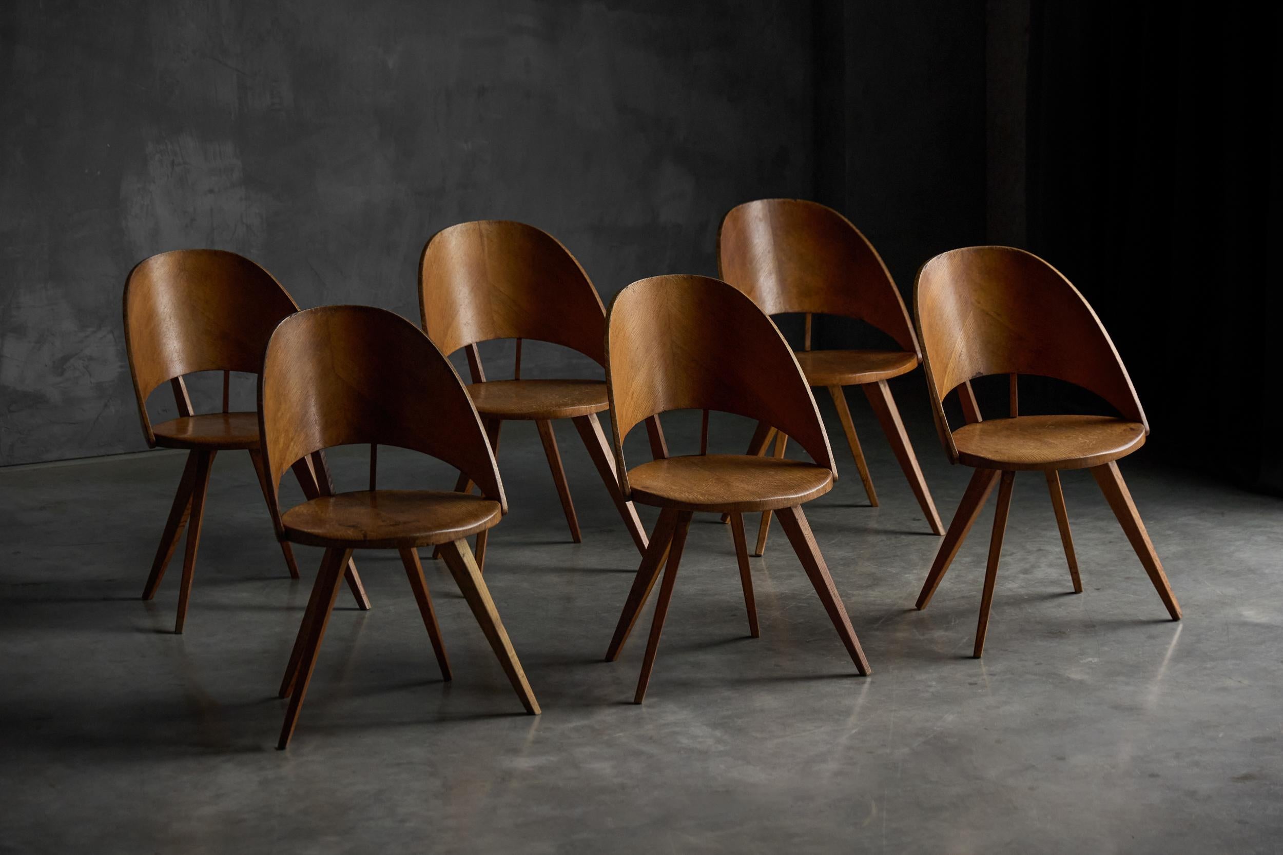 Mid-Century Plywood Dining Chairs, Italy, 1950s Moderno de mediados de siglo en venta