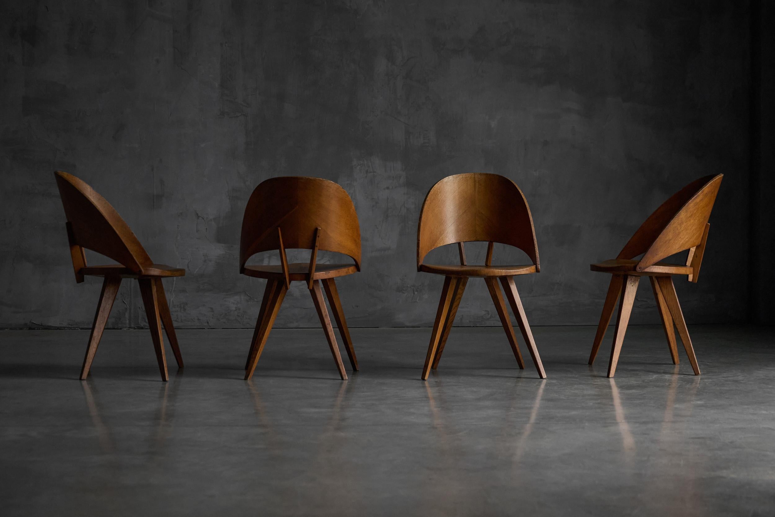 Mid-Century Plywood Dining Chairs, Italy, 1950s Italiano en venta