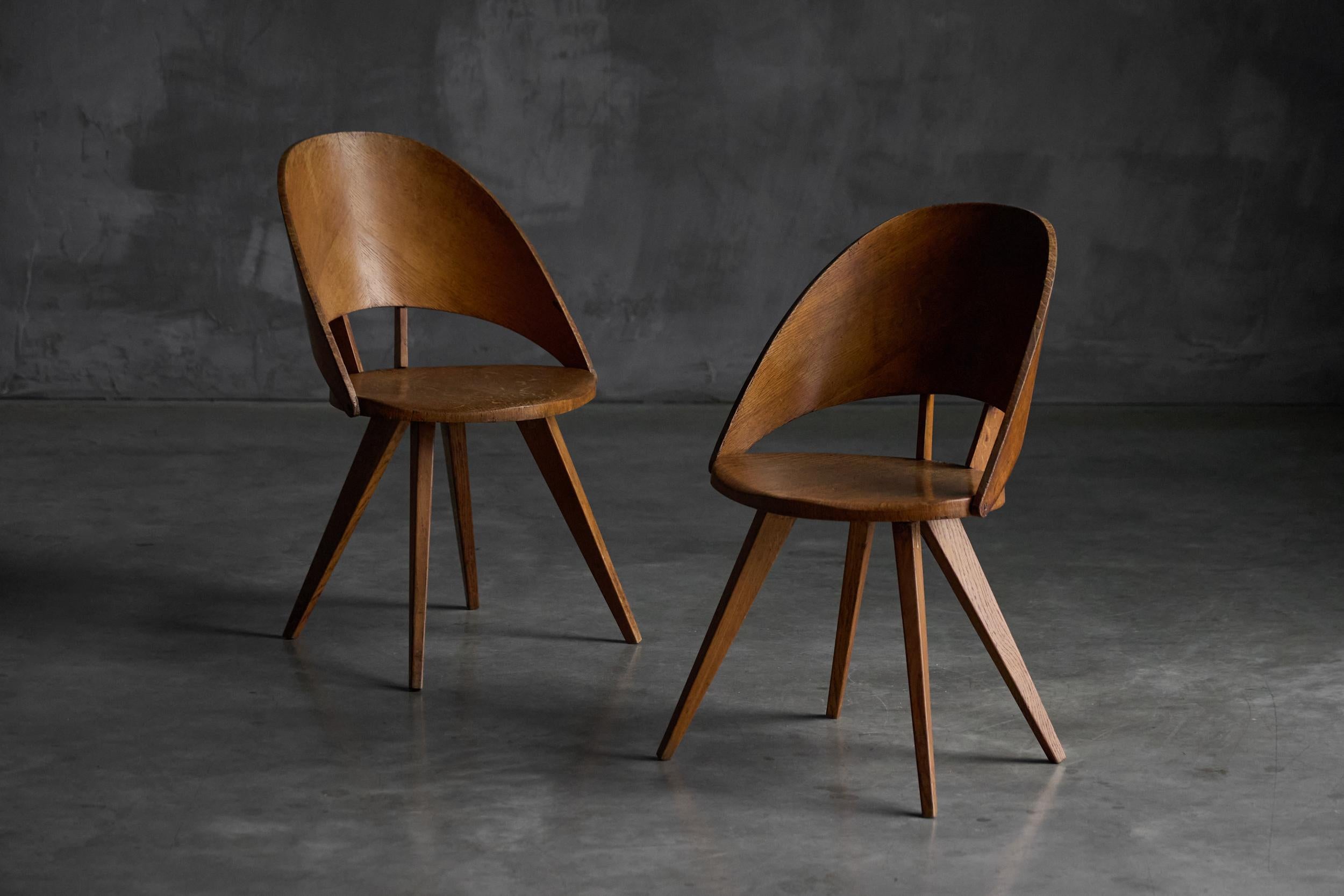 Mid-Century Plywood Dining Chairs, Italy, 1950s en Bueno estado para la venta en Antwerp, BE