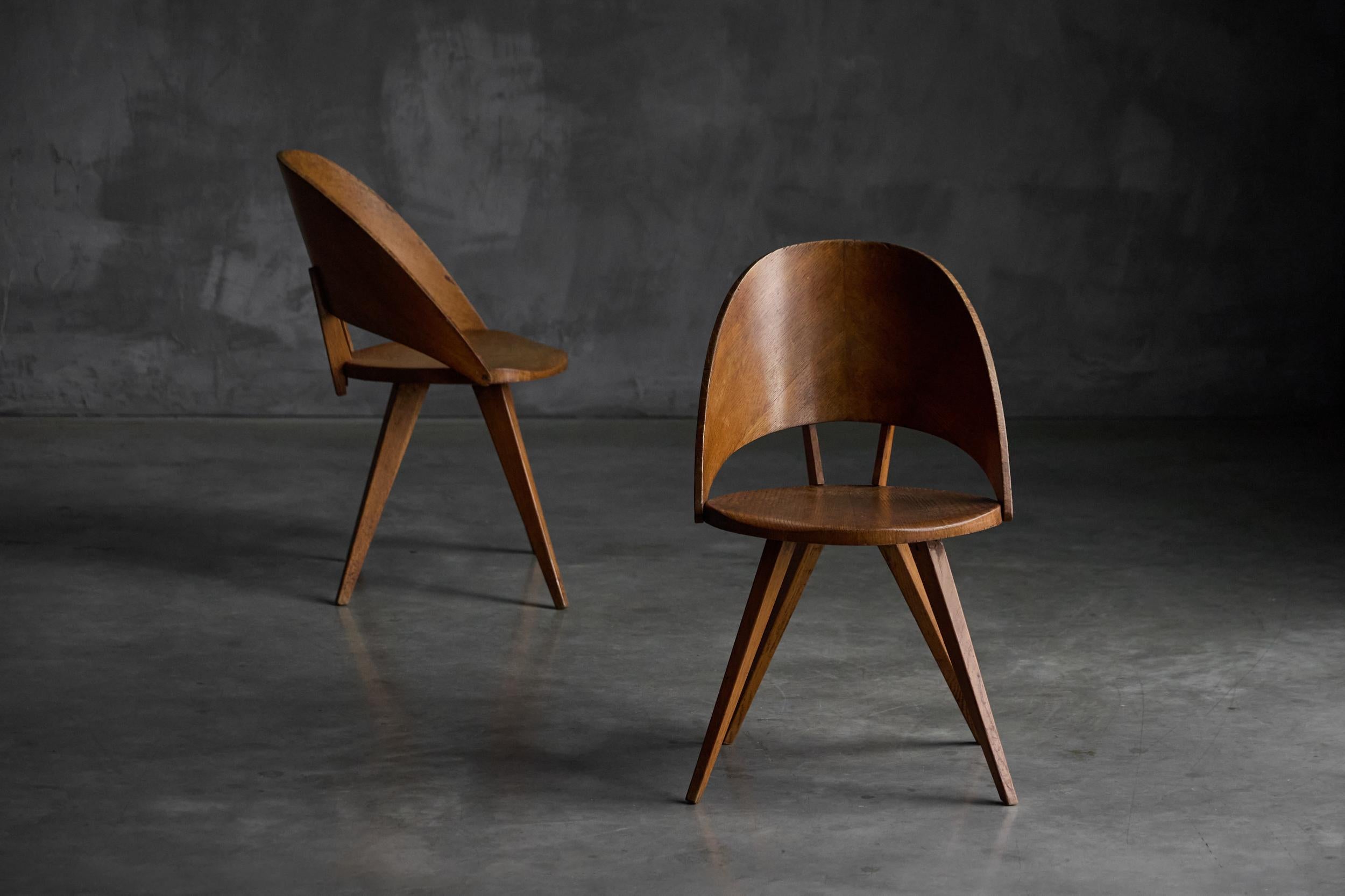 Mid-Century Plywood Dining Chairs, Italy, 1950s mediados del siglo XX en venta