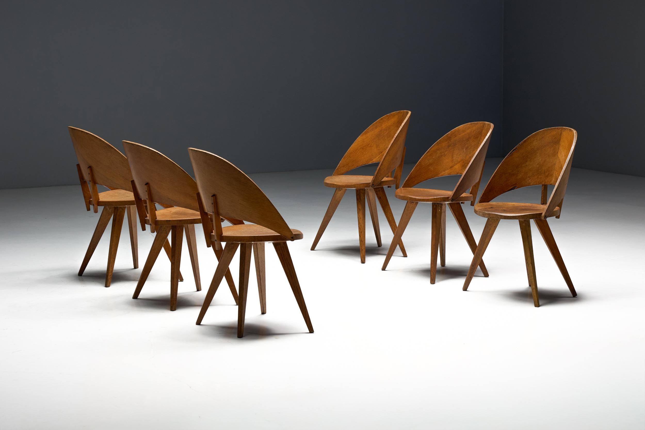 Mid-Century Plywood Dining Chairs, Italy, 1950s en venta 2