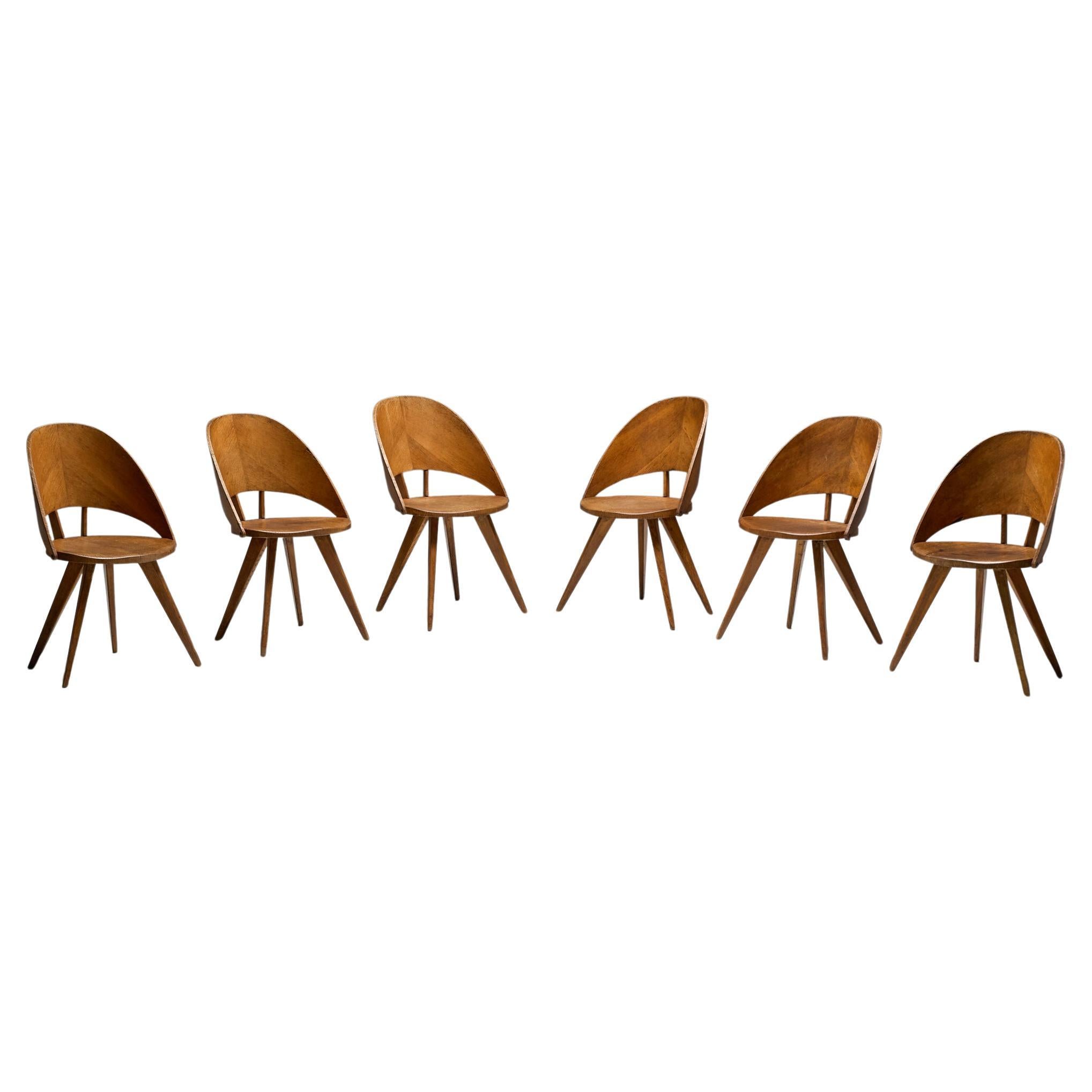 Mid-Century Plywood Dining Chairs, Italy, 1950s en venta