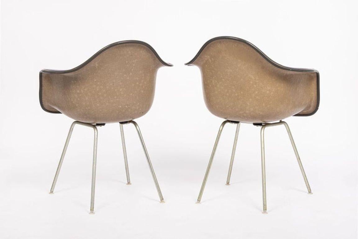 Sedie da salotto DAX viola di metà secolo di Eames per Herman Miller, anni '60 in vendita 7