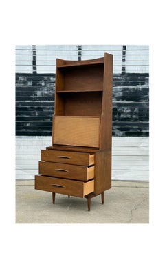 Mid-Century Rare Broyhill Sculptra Walnut Multicase