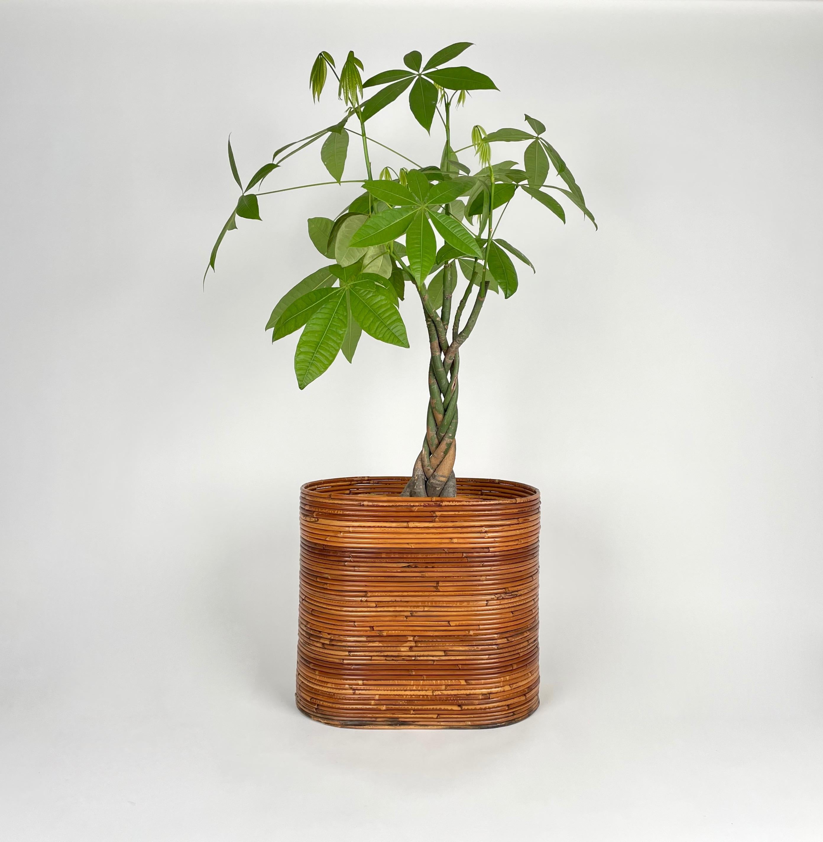 Mid-20th Century Mid-Century Rattan and Bamboo Oval Basket Plant Holder Vase, Italy, 1960s