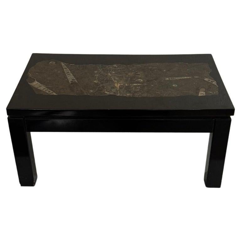 European Mid-Century  Rectangular Coffee Table by Etienne Allemeersch, Fossilized Stone For Sale