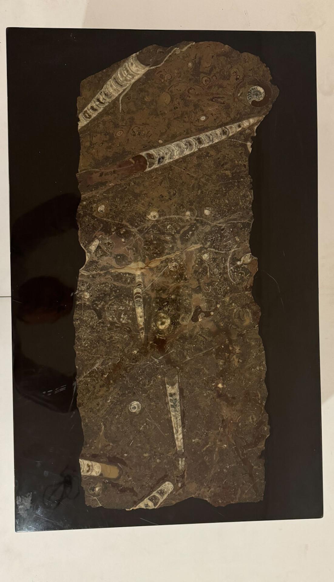 Mid-Century  Rectangular Coffee Table by Etienne Allemeersch, Fossilized Stone In Good Condition For Sale In Brussels, BE
