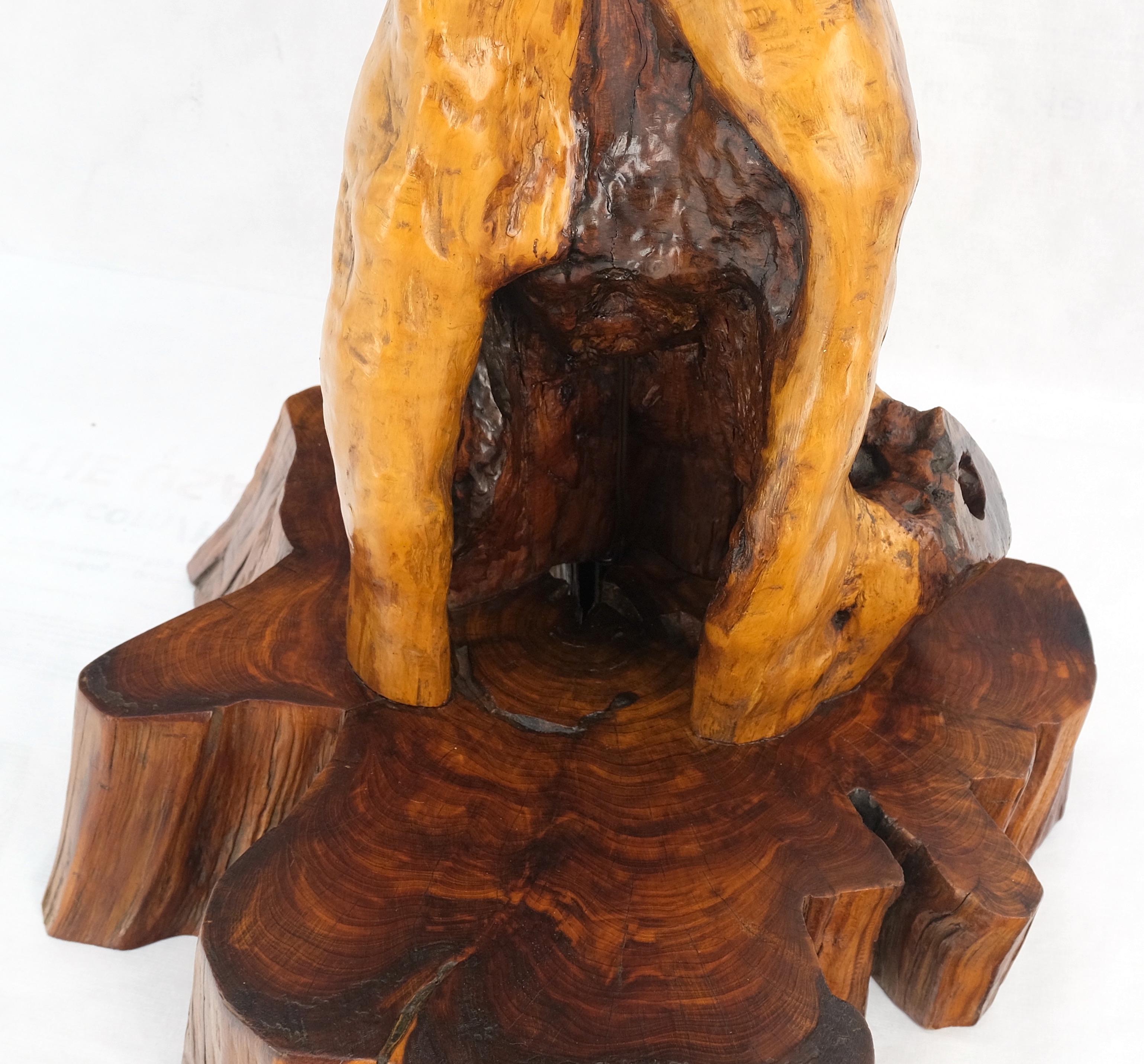 Mid-Century Modern red cedar driftwood style organic shape base table lamp w/ matching shade mint!