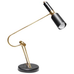 Vintage Mid-Century Robotic Desk Lamp by Oscar Torlasco, Italy, 1950s