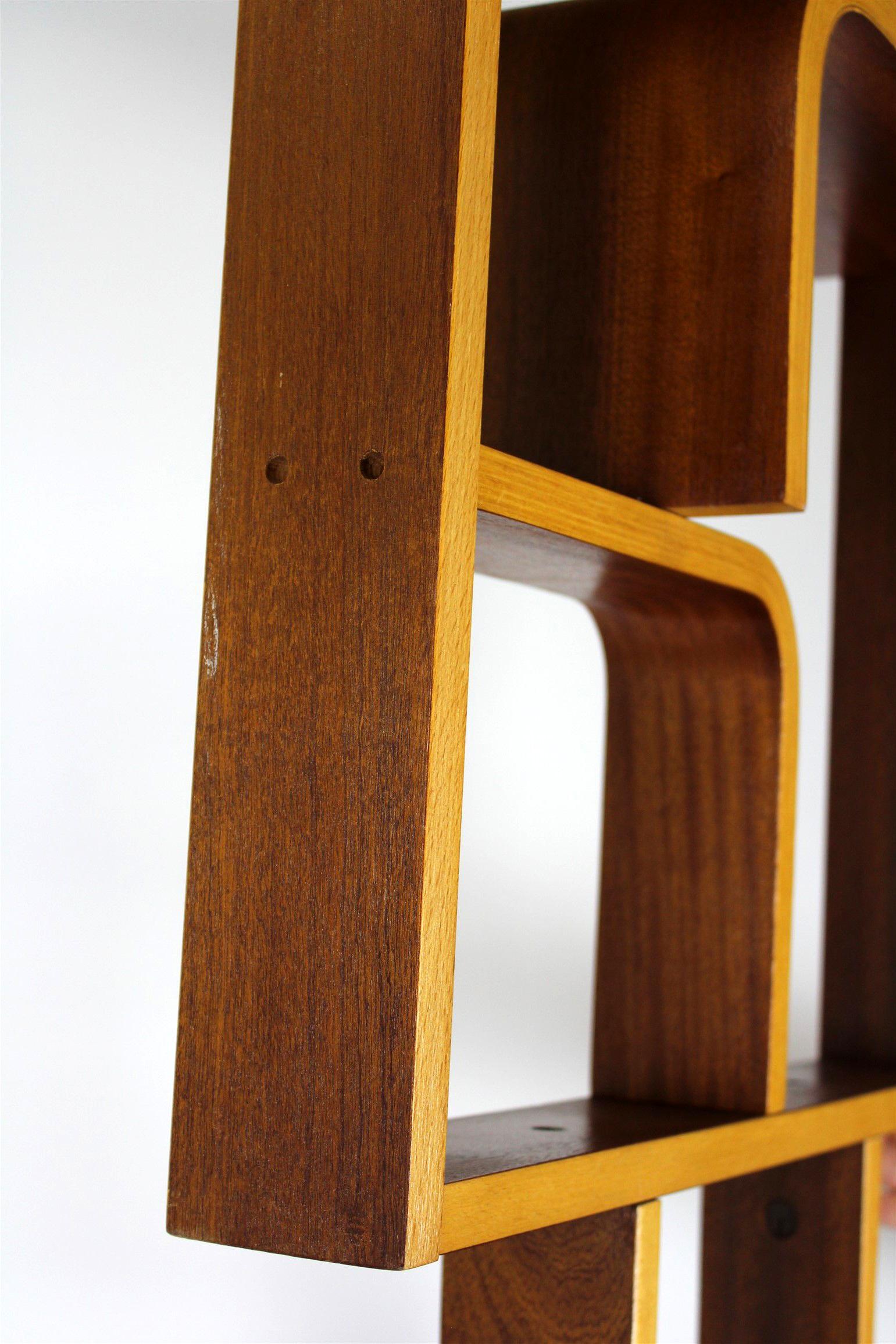 Mid-Century Room Divider by L. Volak for Drevopodnik Holesov, 1960s For Sale 6