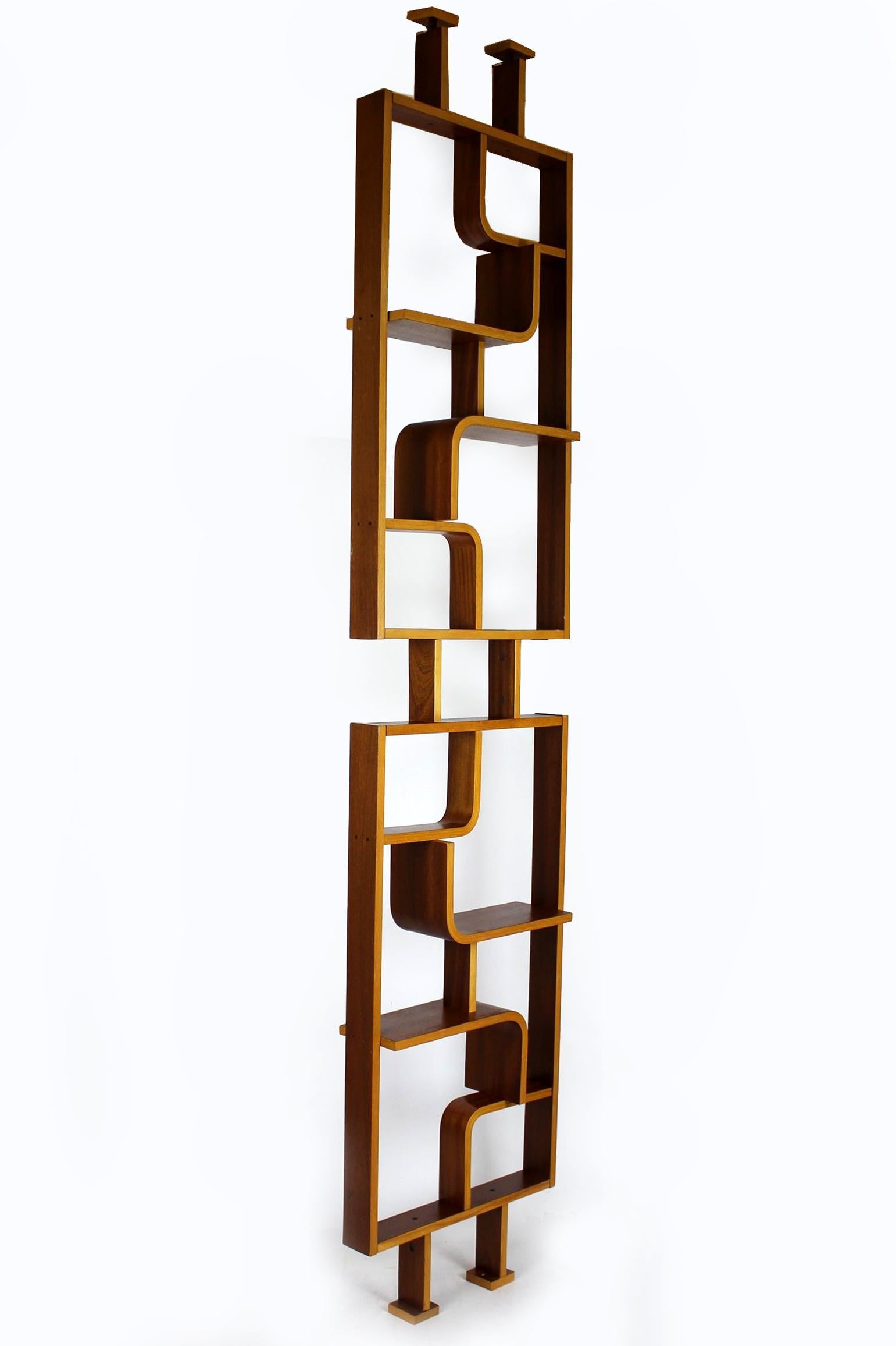Mid-Century Room Divider by L. Volak for Drevopodnik Holesov, 1960s For Sale 8
