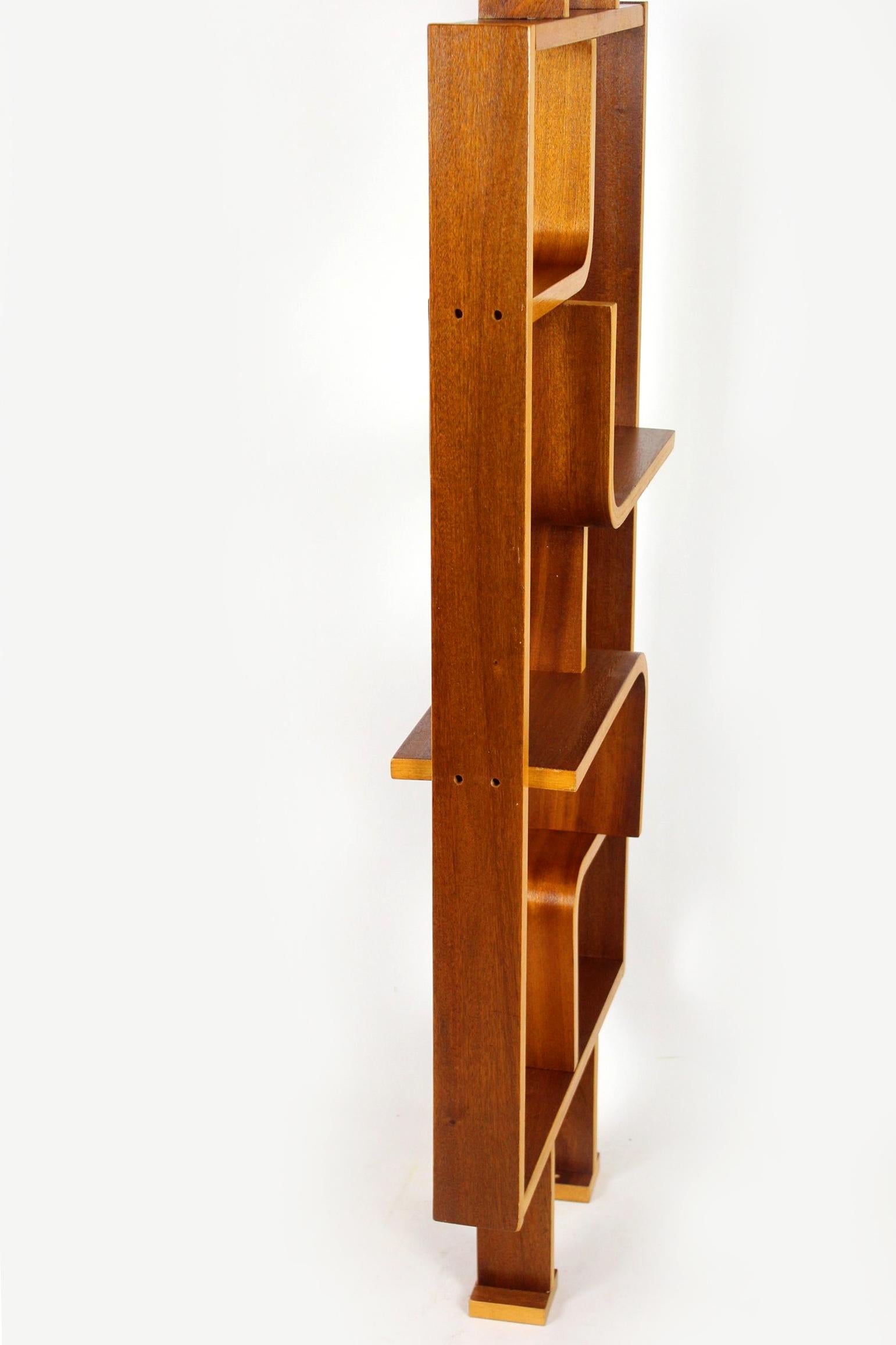 Mid-Century Room Divider by L. Volak for Drevopodnik Holesov, 1960s For Sale 9