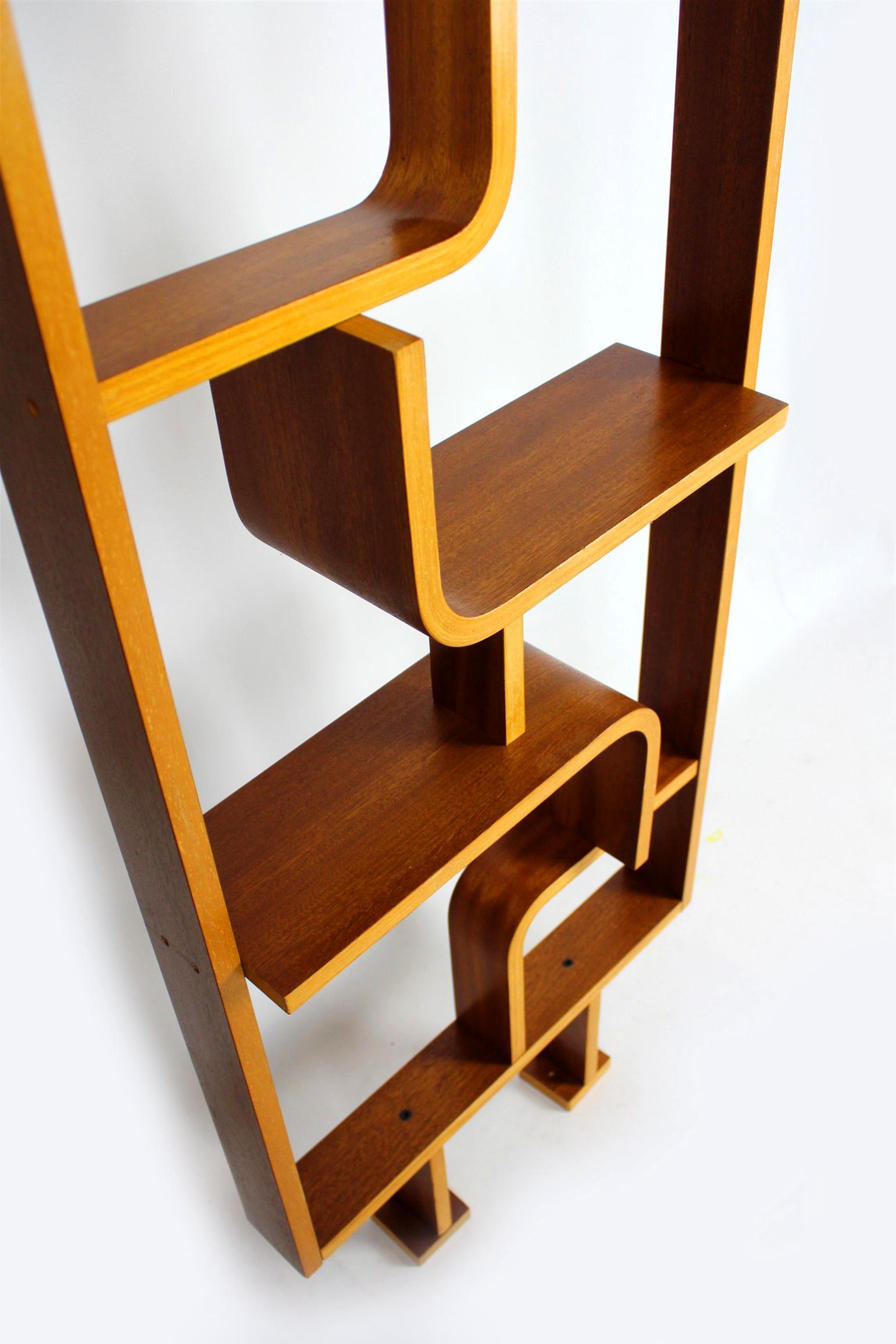 Mid-Century Modern Mid-Century Room Divider by L. Volak for Drevopodnik Holesov, 1960s For Sale