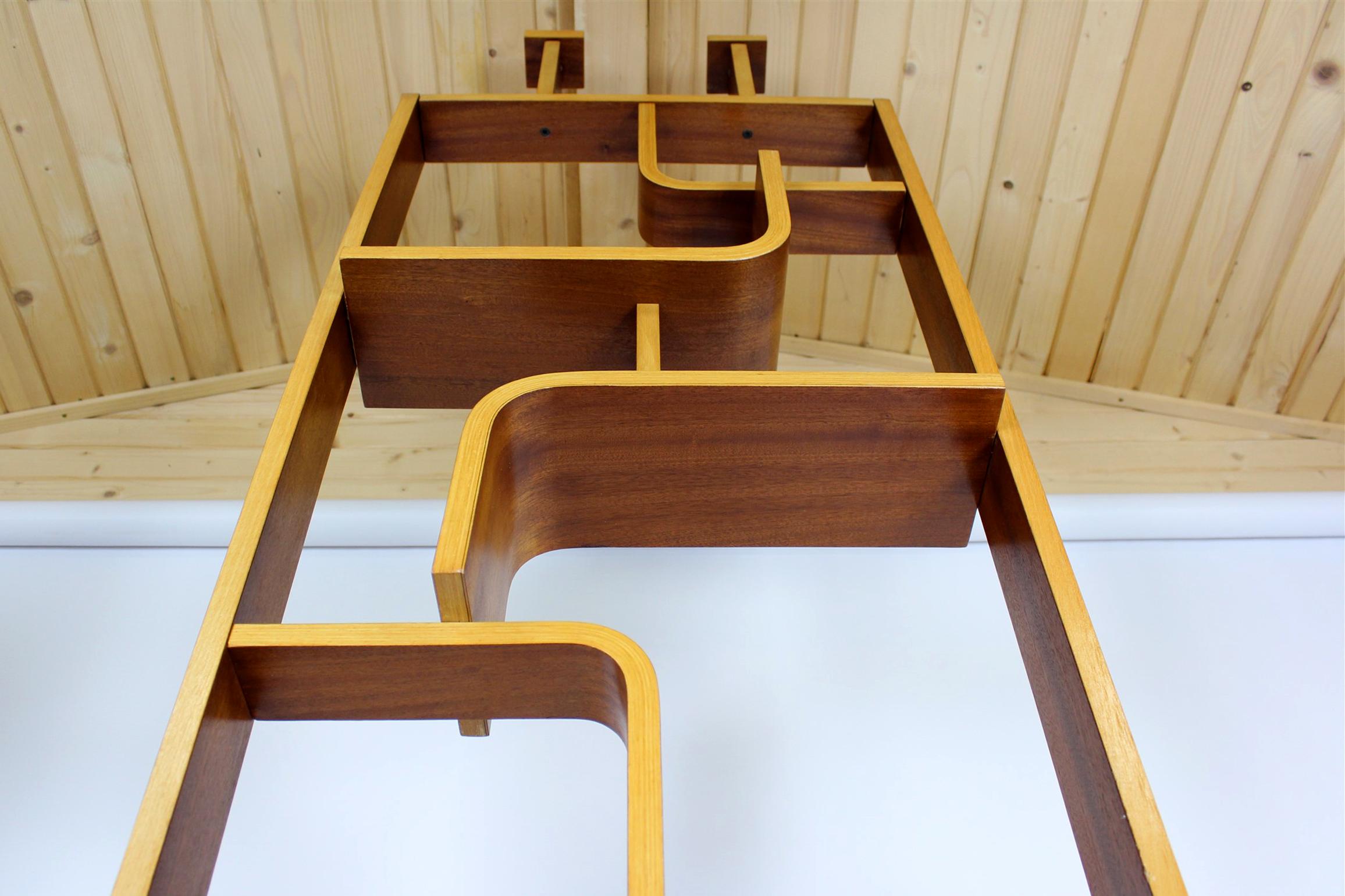 20th Century Mid-Century Room Divider by L. Volak for Drevopodnik Holesov, 1960s For Sale