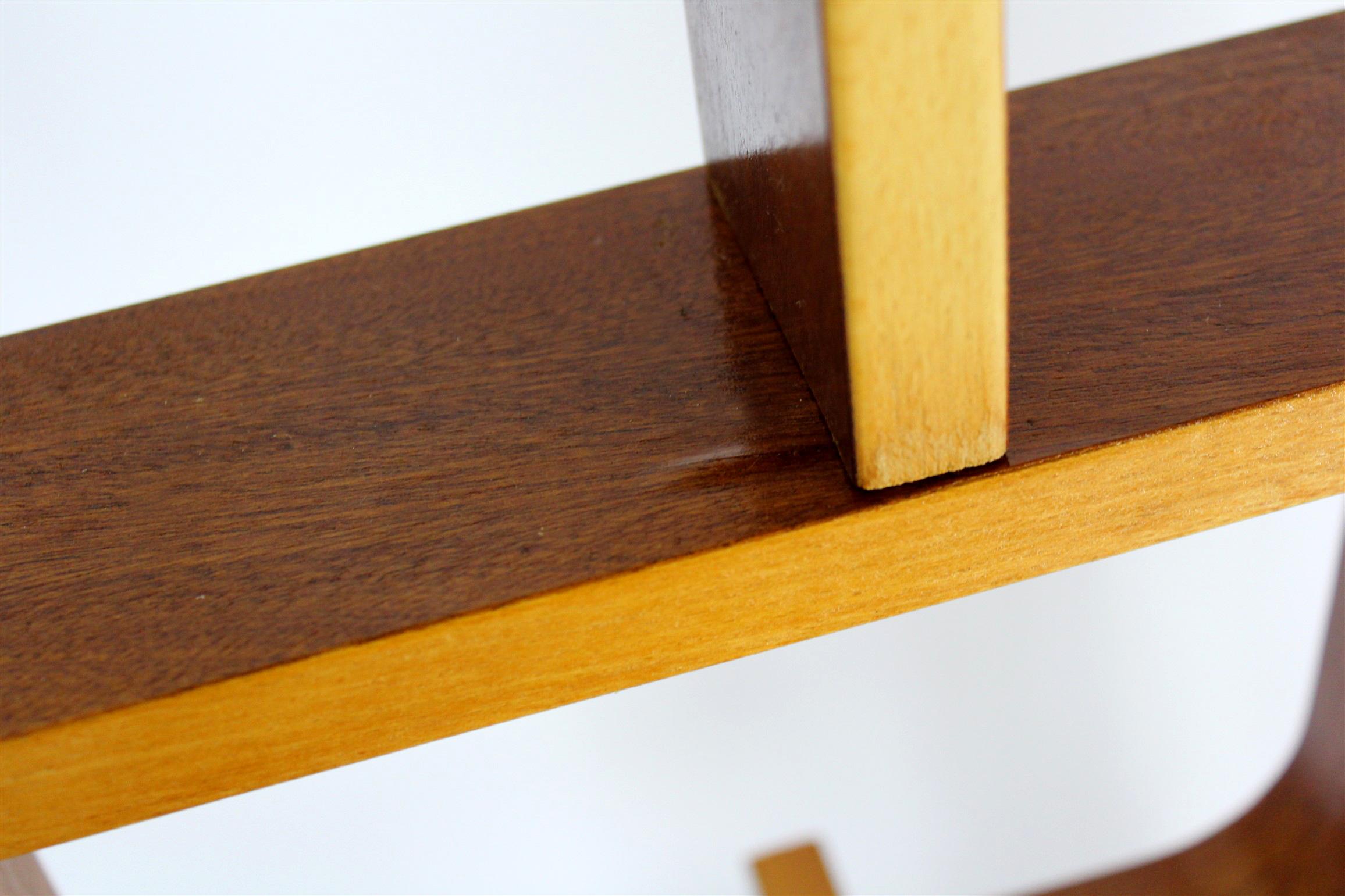 Mid-Century Room Divider by L. Volak for Drevopodnik Holesov, 1960s For Sale 1