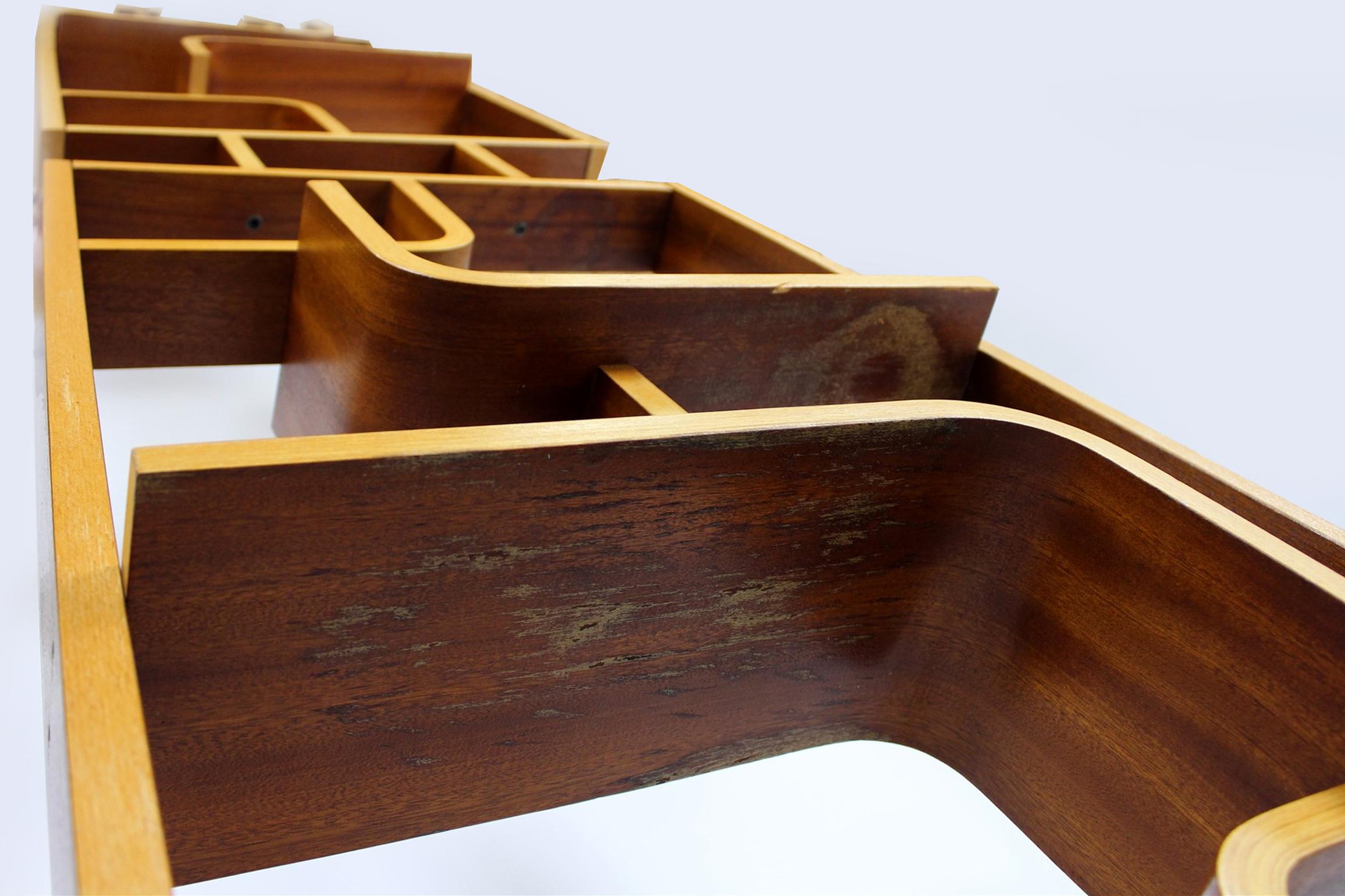 Mid-Century Room Divider by L. Volak for Drevopodnik Holesov, 1960s For Sale 2