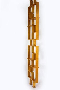 Mid-Century Room Divider by Ludvik Volak for Drevopodnik Holesov, 1960s