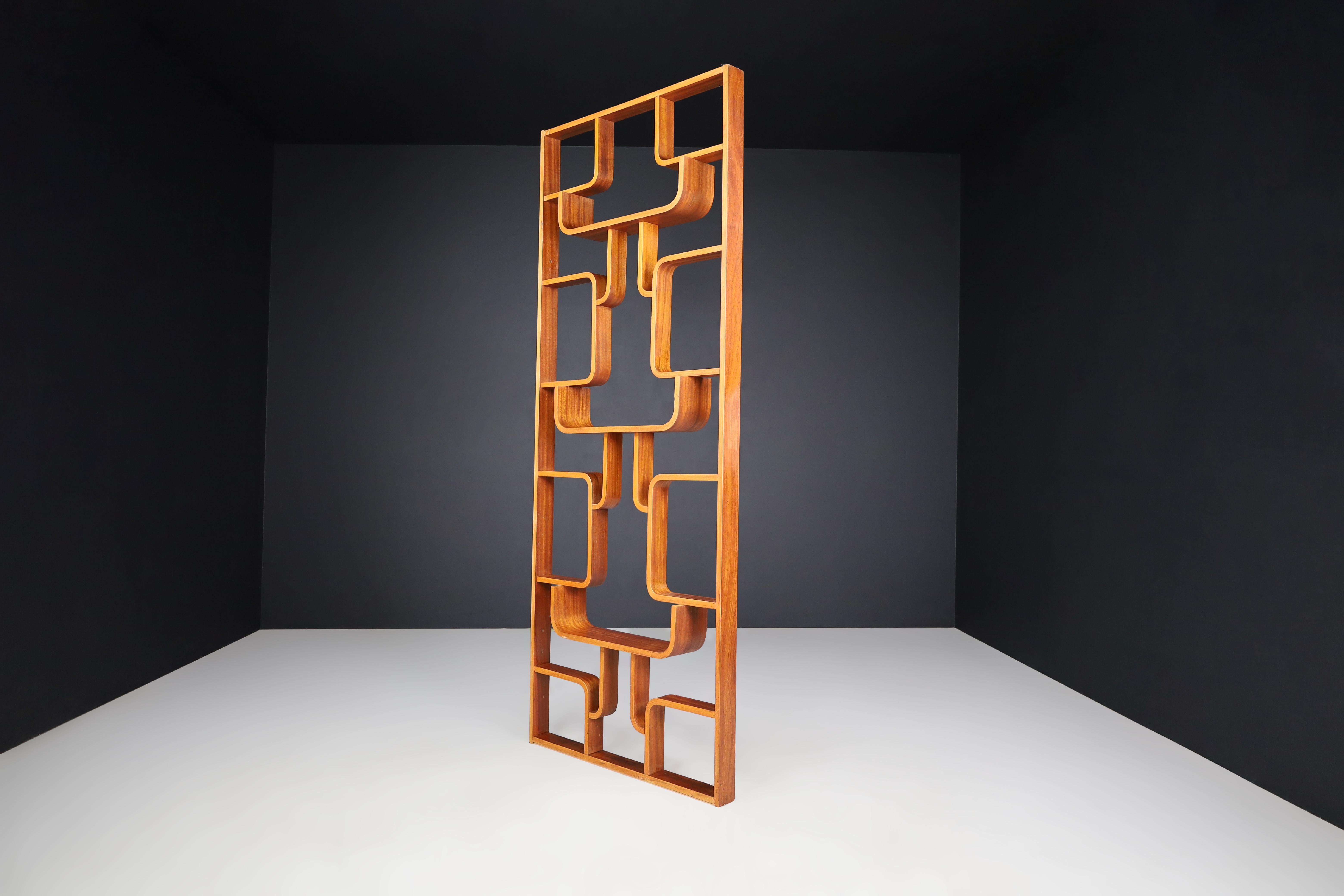 Mid-century Room Divider by Ludvik Volak for Drevopodnik Holesov, 1960s In Good Condition For Sale In Almelo, NL