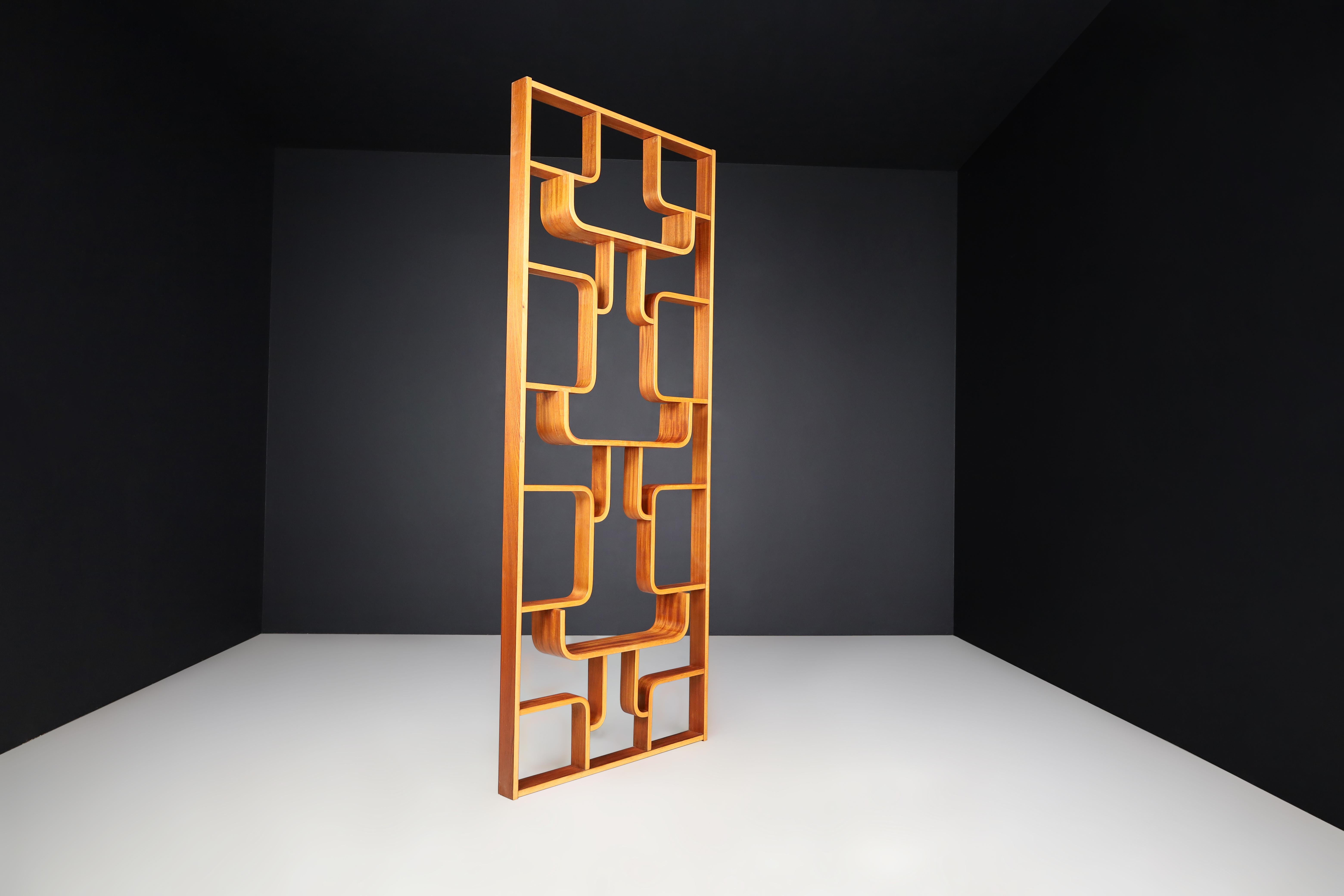 Mid-century Room Divider by Ludvik Volak for Drevopodnik Holesov, 1960s In Good Condition For Sale In Almelo, NL