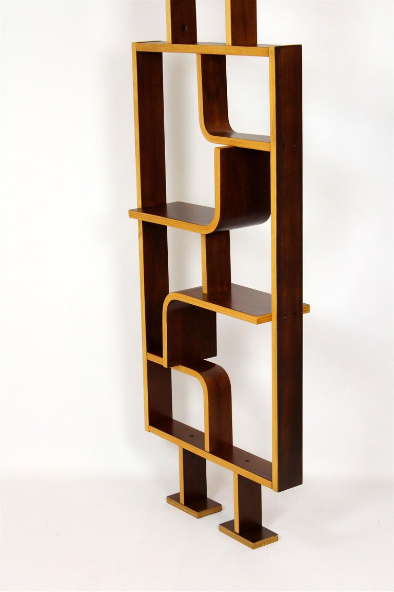 MidCentury Room Divider by Ludvik Volak for Drevopodnik Holesov, 1960s