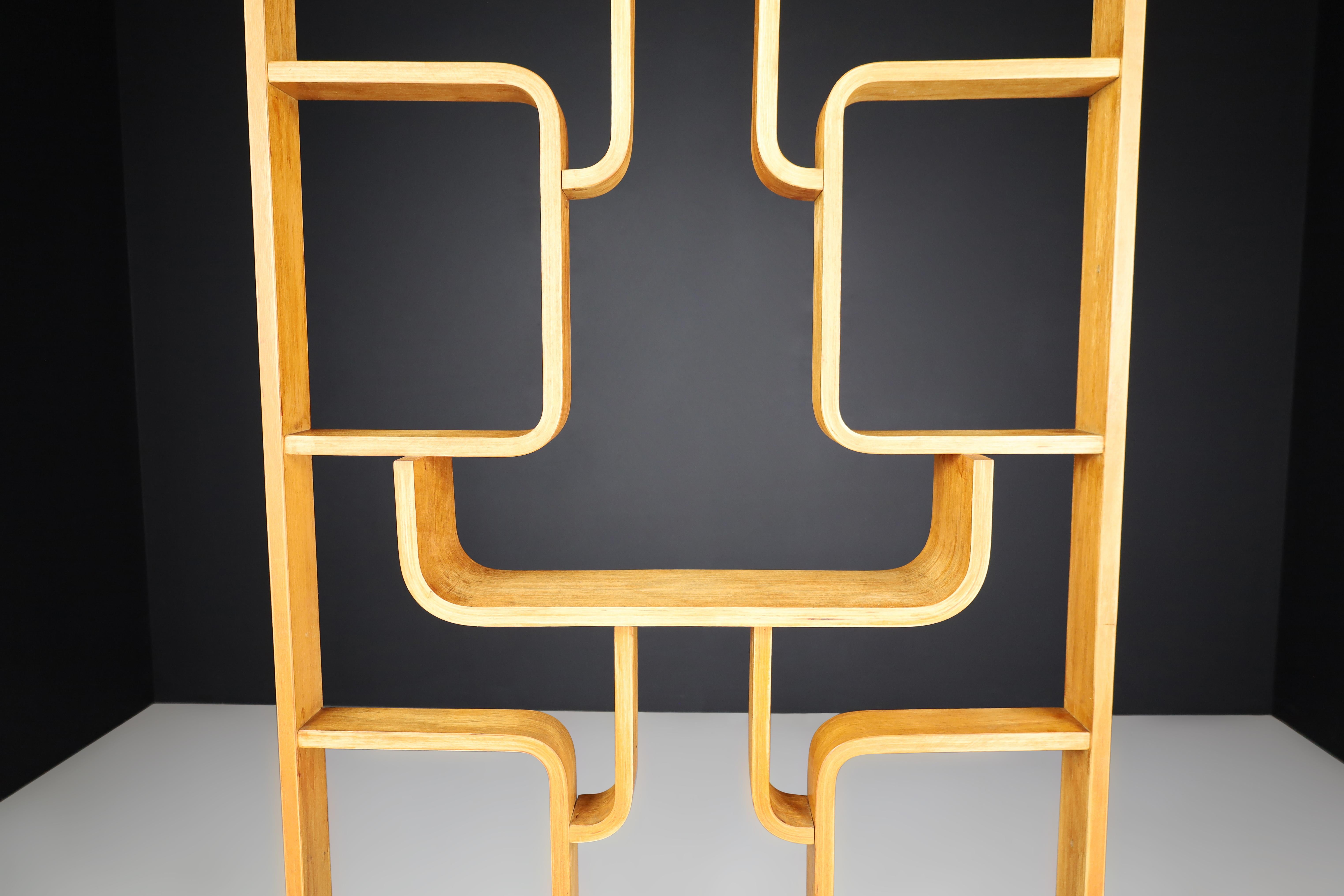 20th Century Mid-century Room Divider by Ludvik Volak for Drevopodnik Holesov, 1960s For Sale