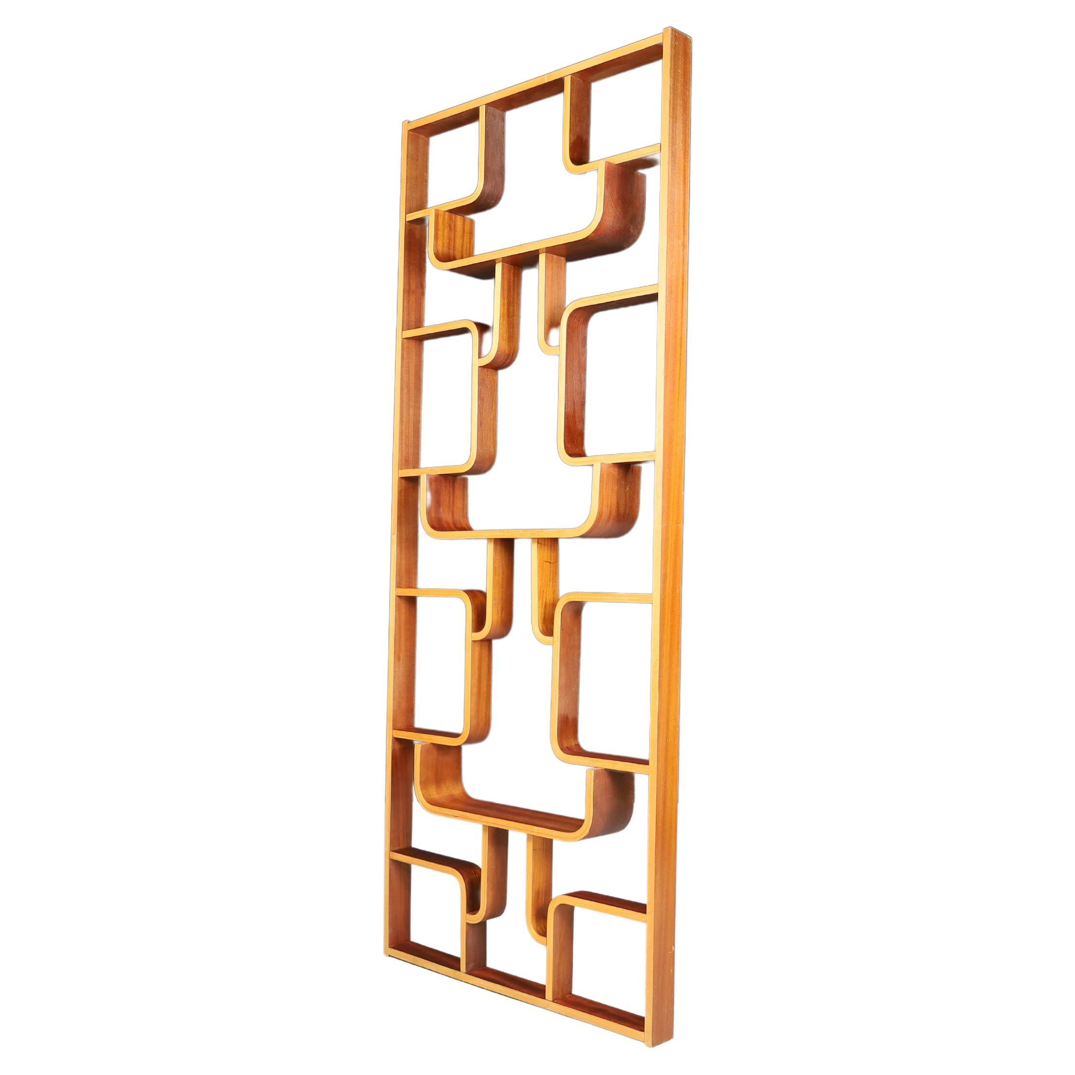 Mid-century Room Divider by Ludvik Volak for Drevopodnik Holesov, 1960s For Sale