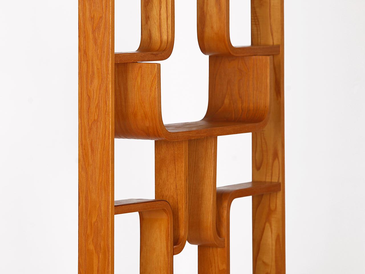 Mid Century Room Divider Shelves by Ludvik Volak, 1960s, Restored In Excellent Condition In Wien, AT